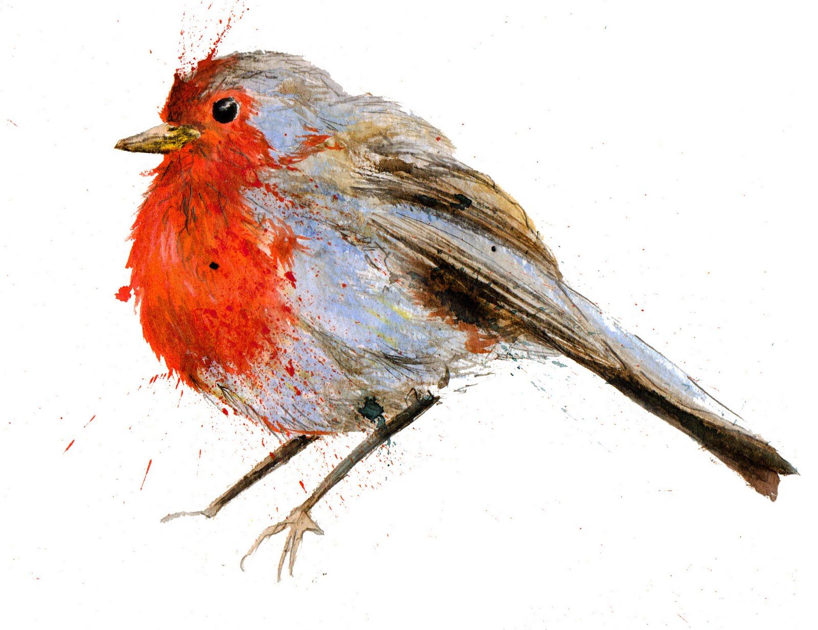 Beautiful illustration of a robin by Suzie Foster | birds ...