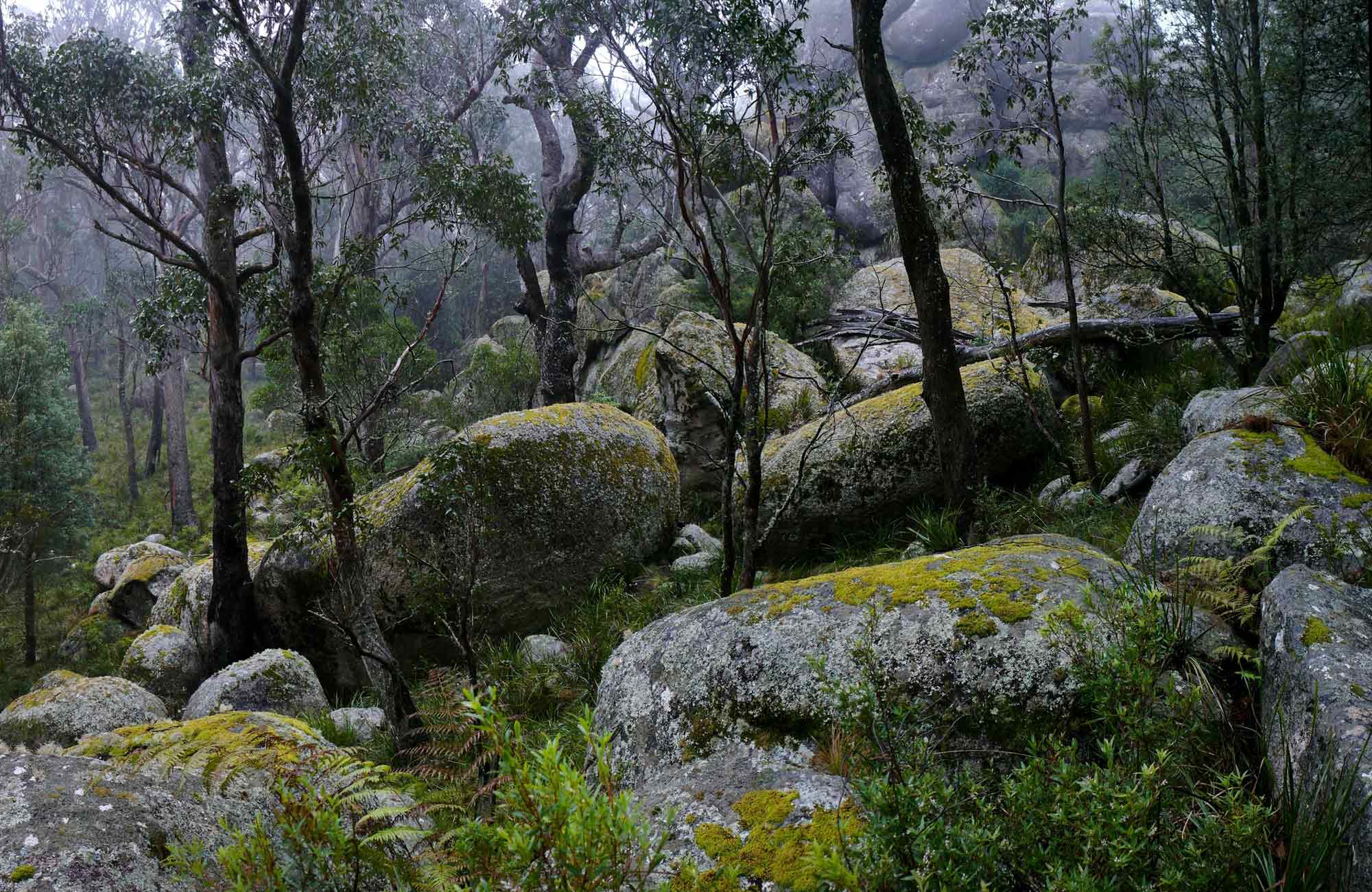 Cathedral Rock National Park | Learn more | NSW National Parks