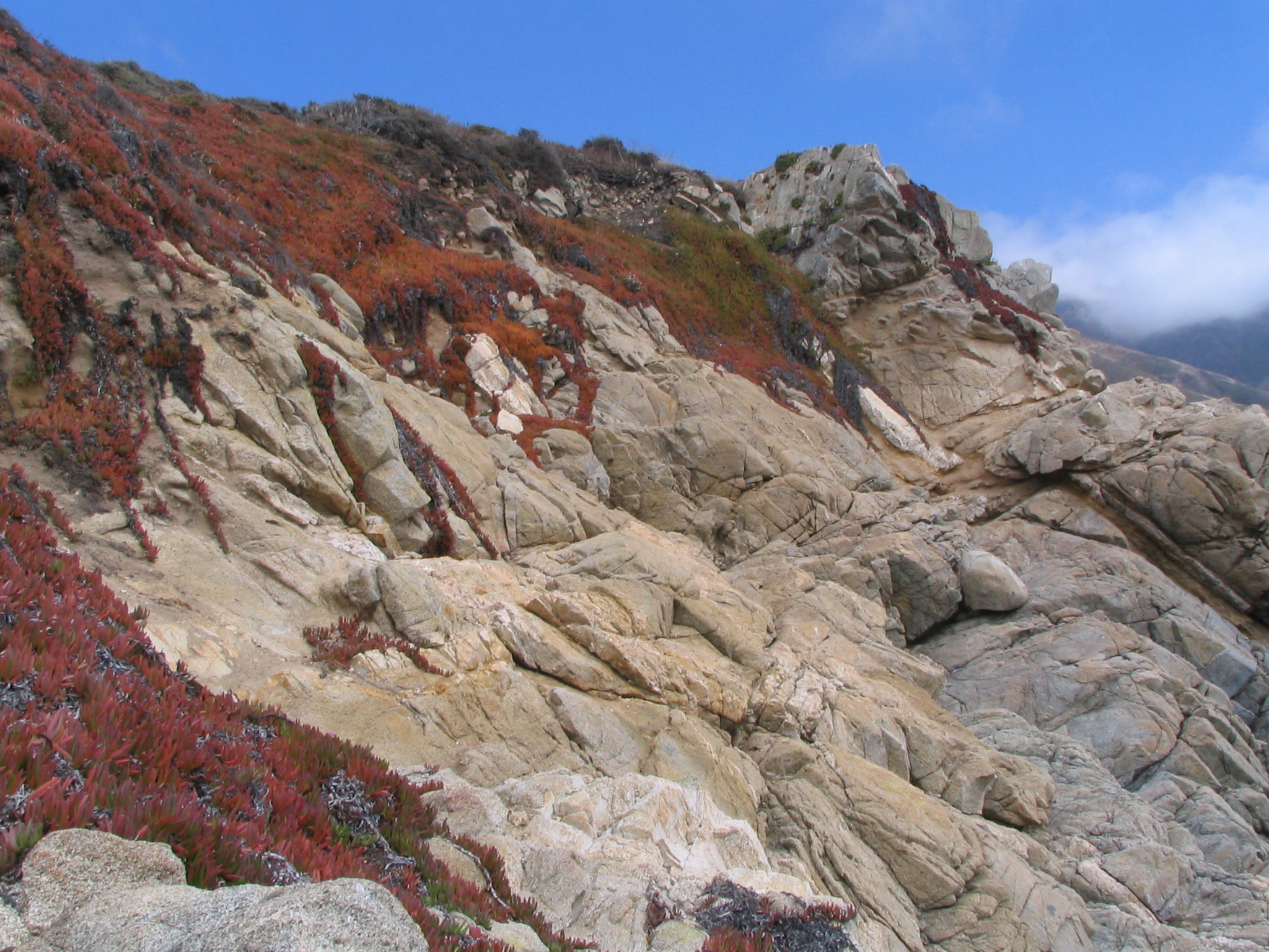 rock with vegetation, Big Sur - Richard Menard