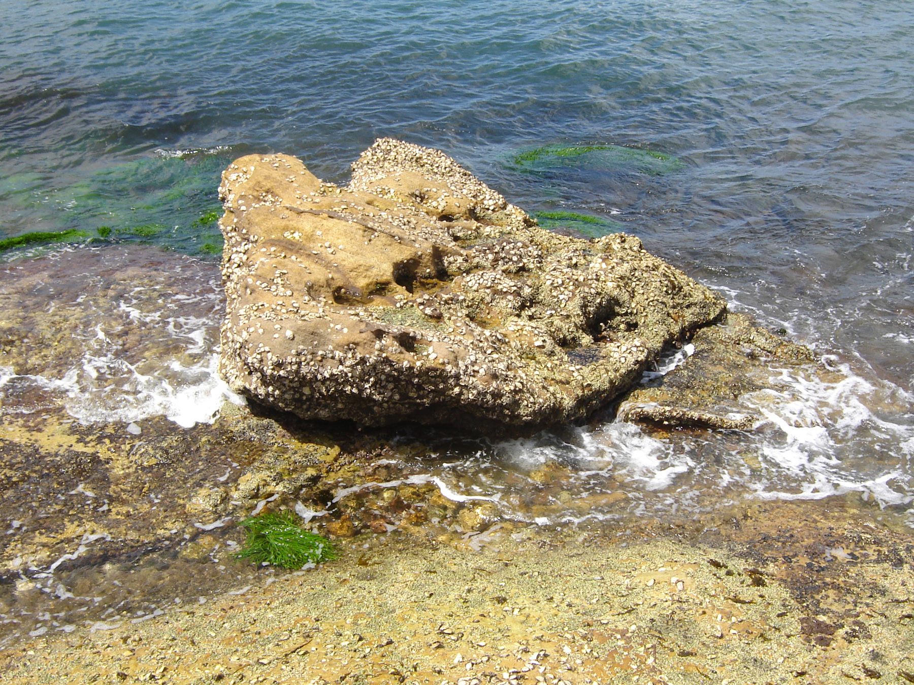 Rock at the beach photo
