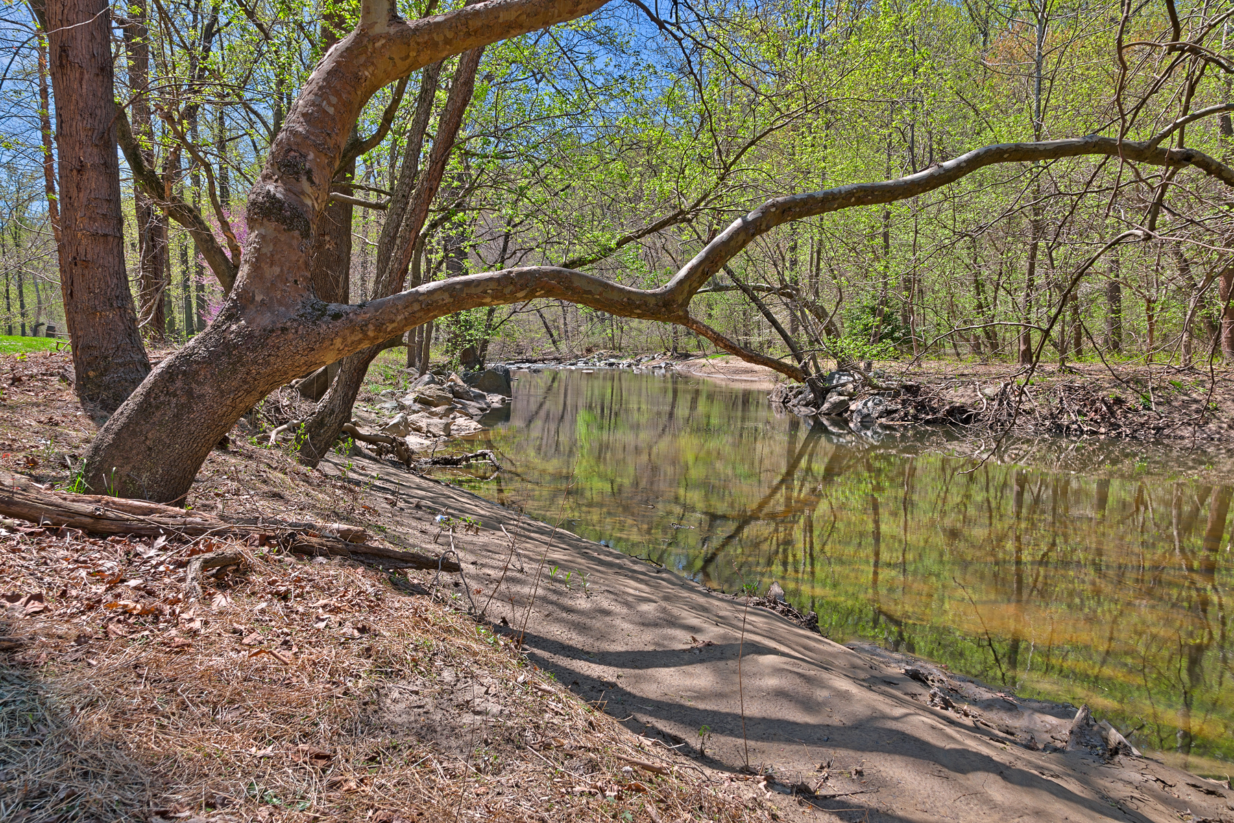 Rock creek stream & foliage - hdr photo