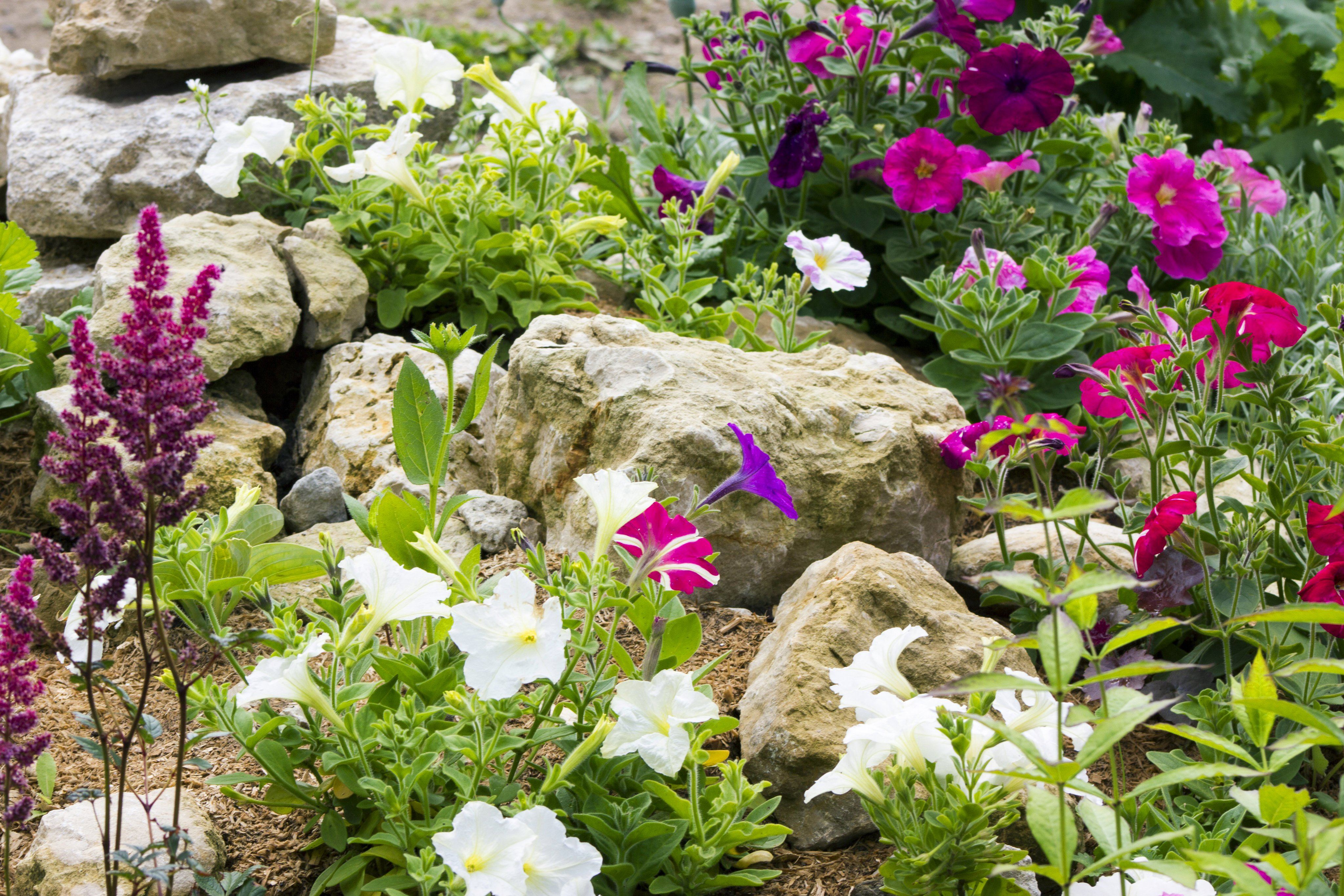 Rock Garden with Flowers - Wonderful 11 Ideas for Creating A Rock ...