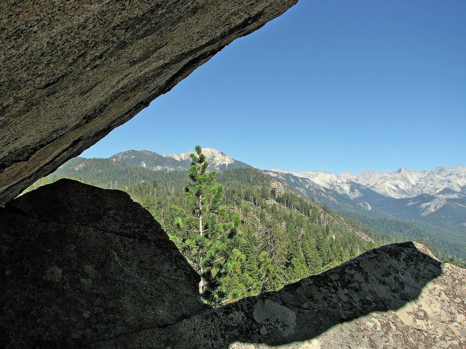 Rock framed view of sequoia national par photo