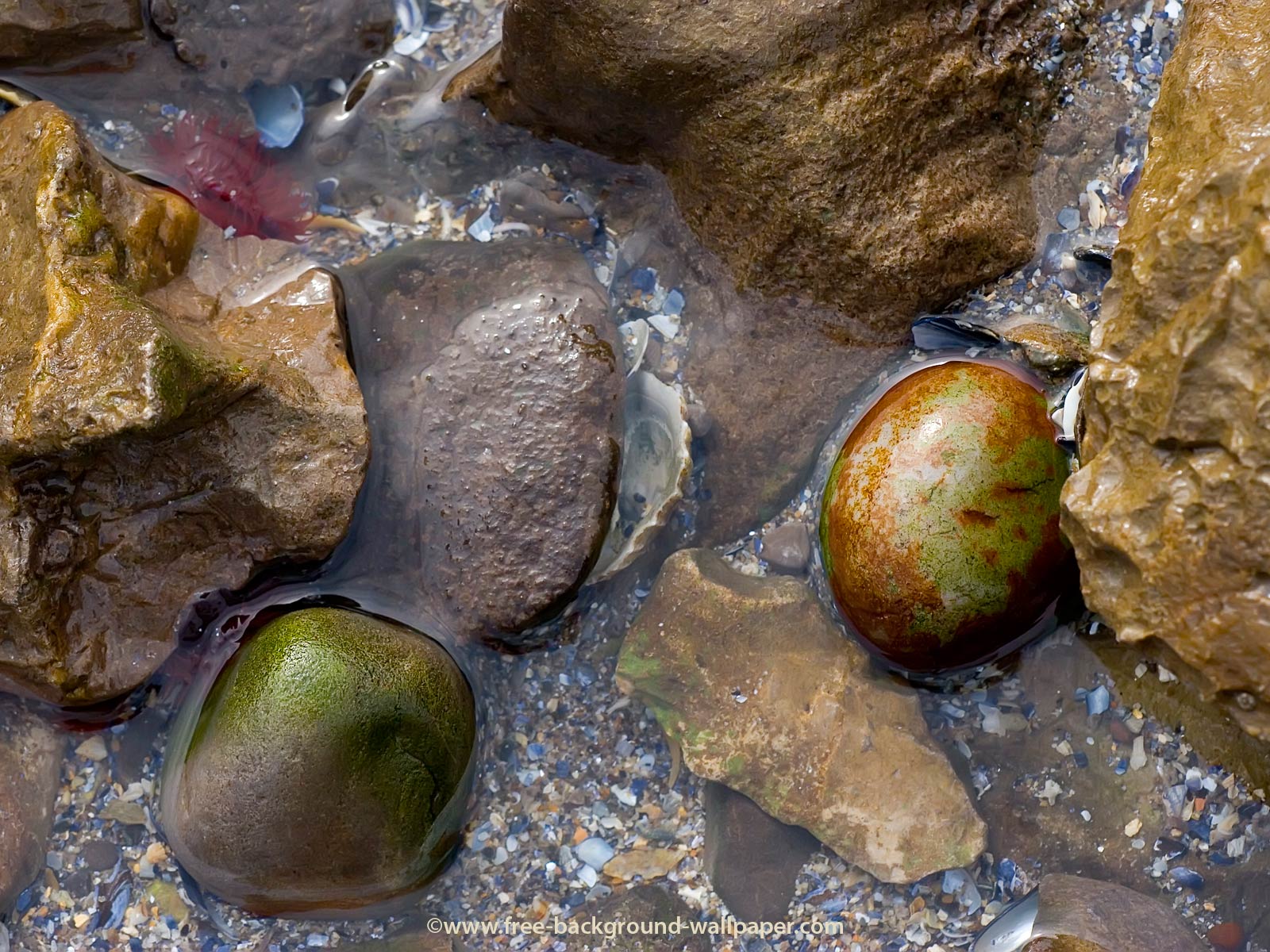 Rock Pool Pebbles Picture Stones Wallpaper - 1600x1200 pixels