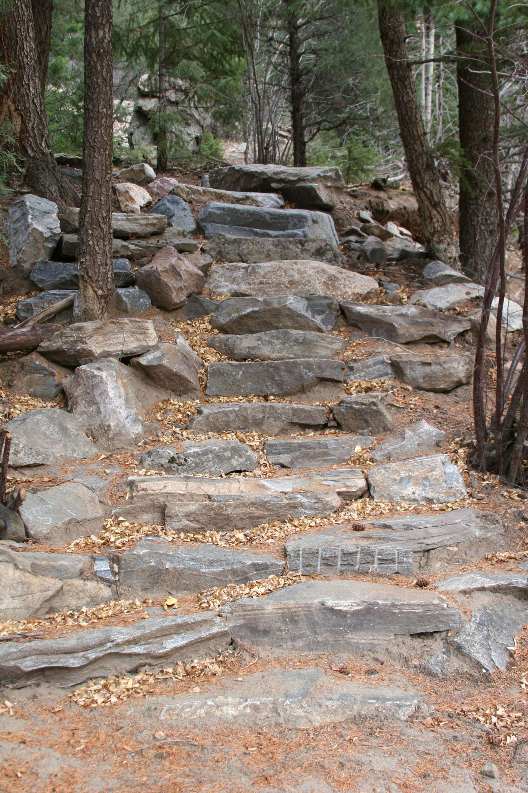 Rock Stairs to Creek on JC1 Segment | Peaks to Plains Trail