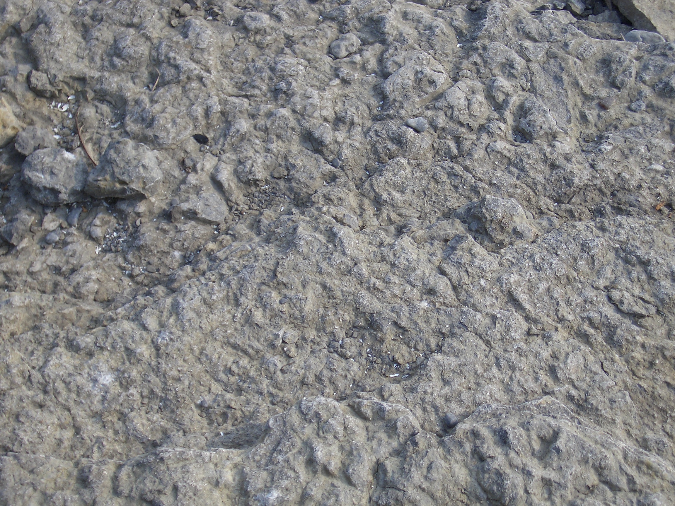 Weathered Rock Surface 3 [image 2304x1728 pixels]