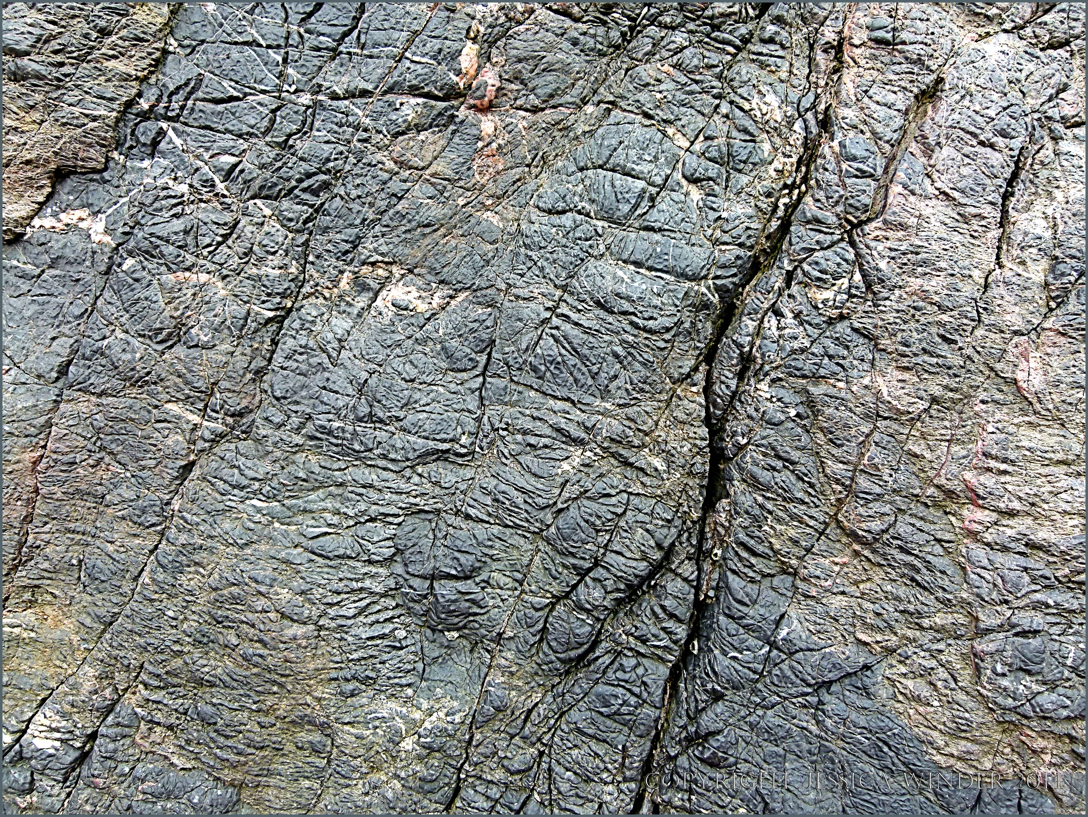 Tenby Rock Textures 24 – Jessica's Nature Blog