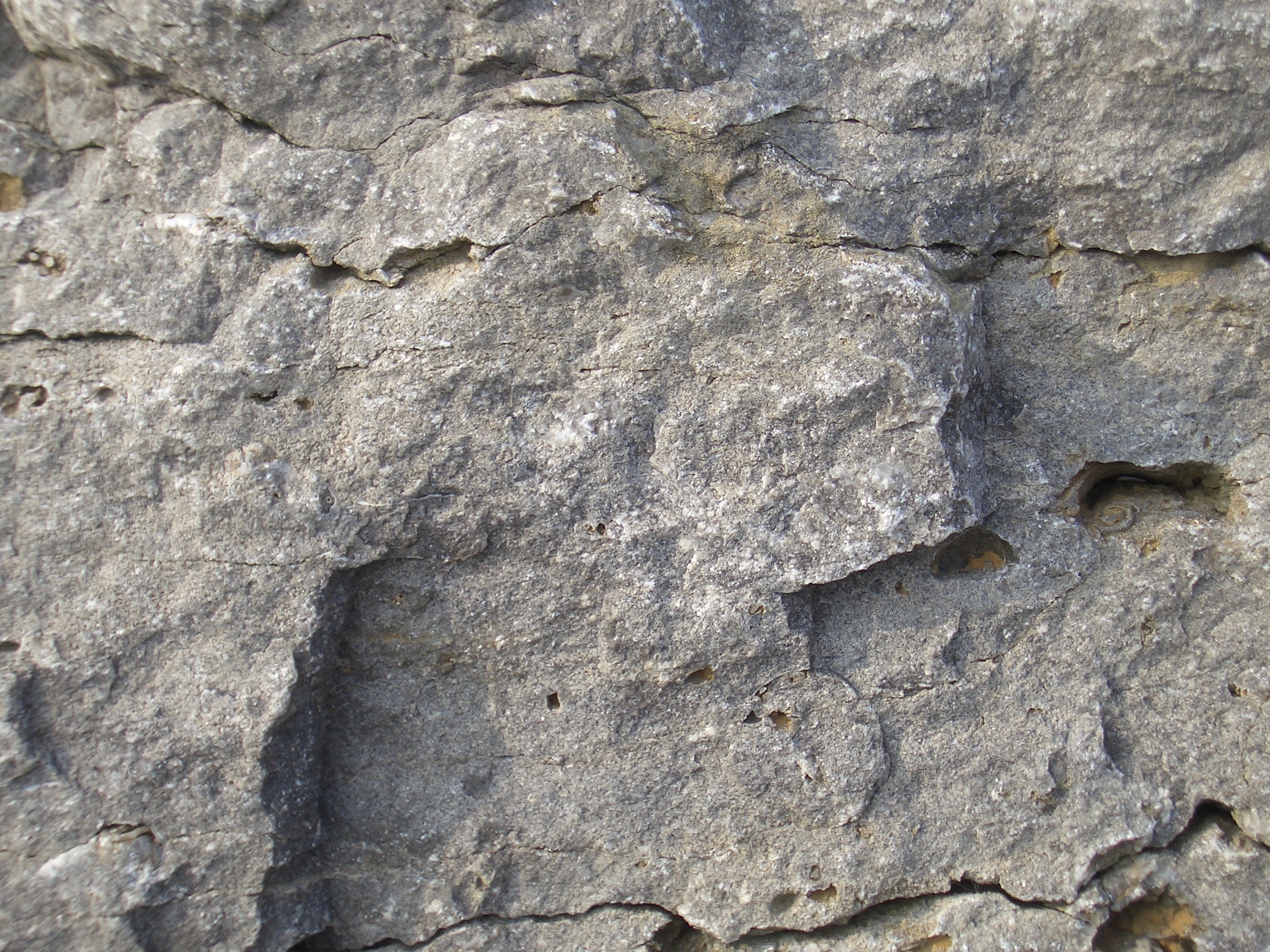 Weathered Rock Surface 5 [image 2304x1728 pixels]