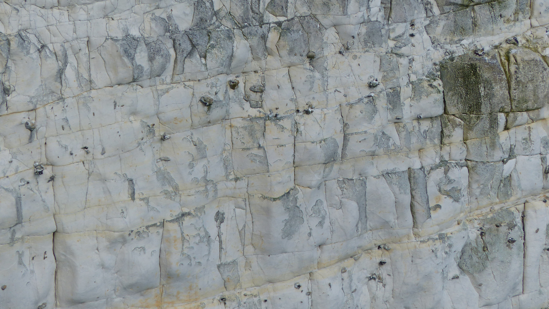 Chalk Cliff Rock Texture & Pattern – Jessica's Nature Blog