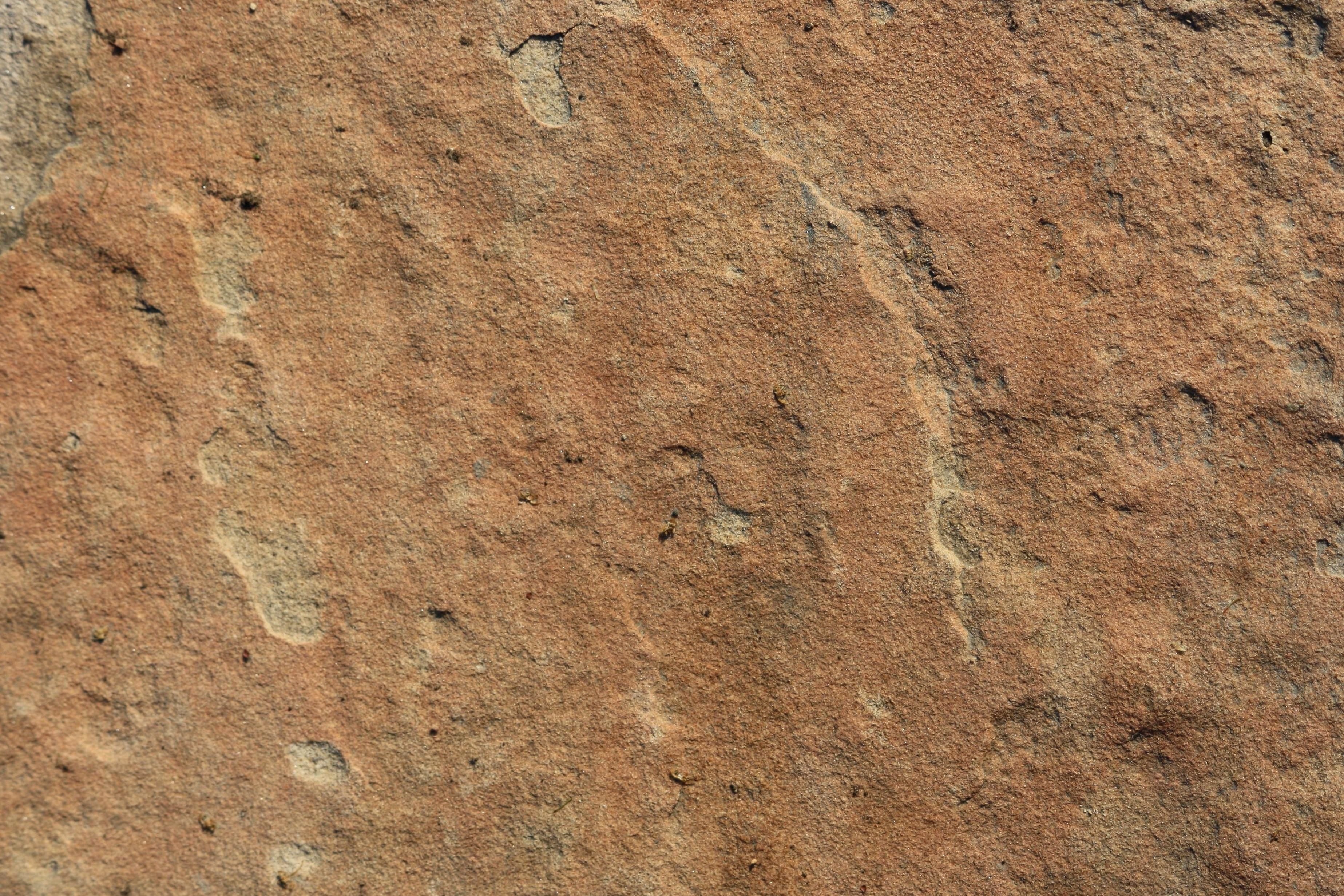 Free picture: sandstone, rock, texture