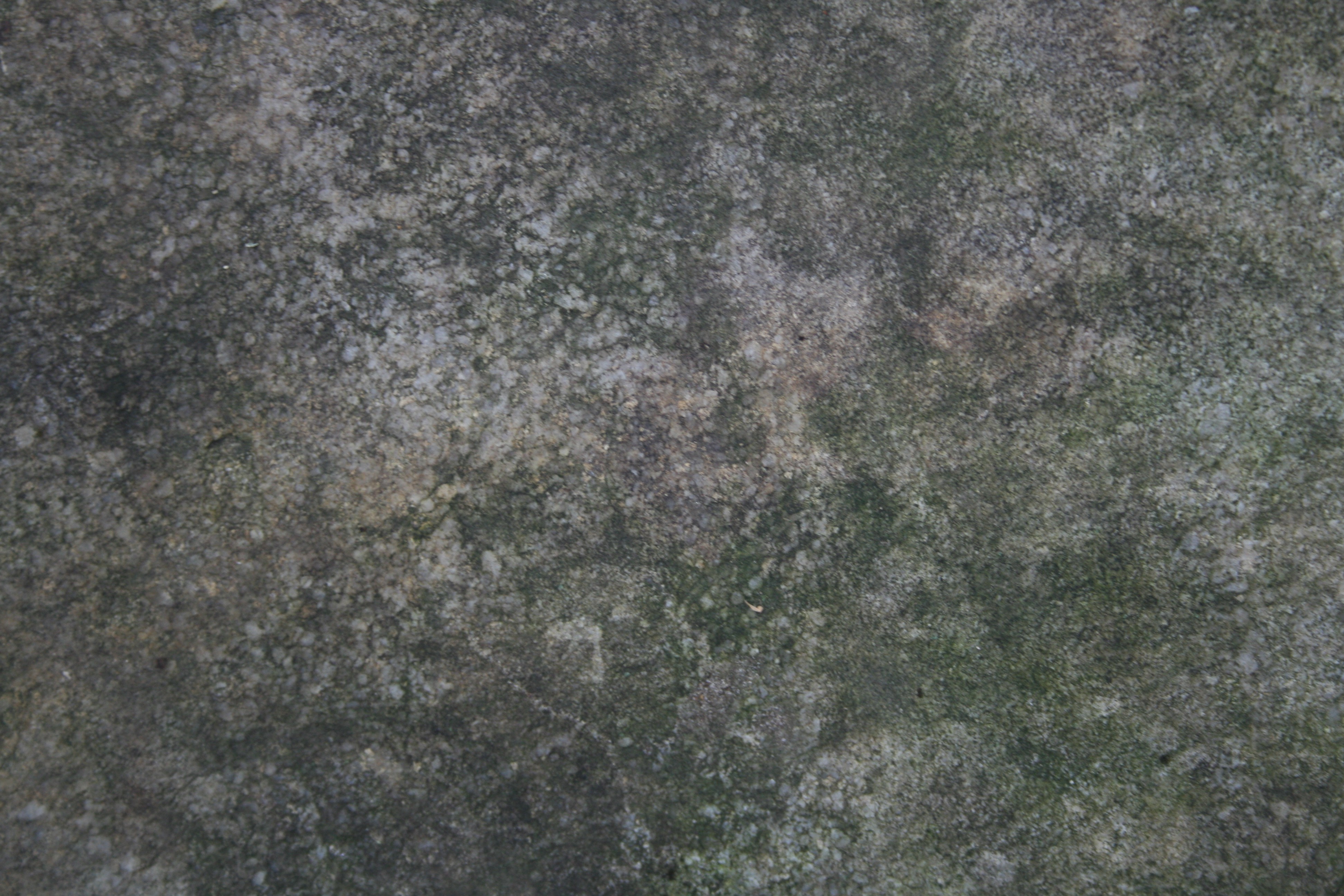 Mossy Rock Textures | Texturemate.com