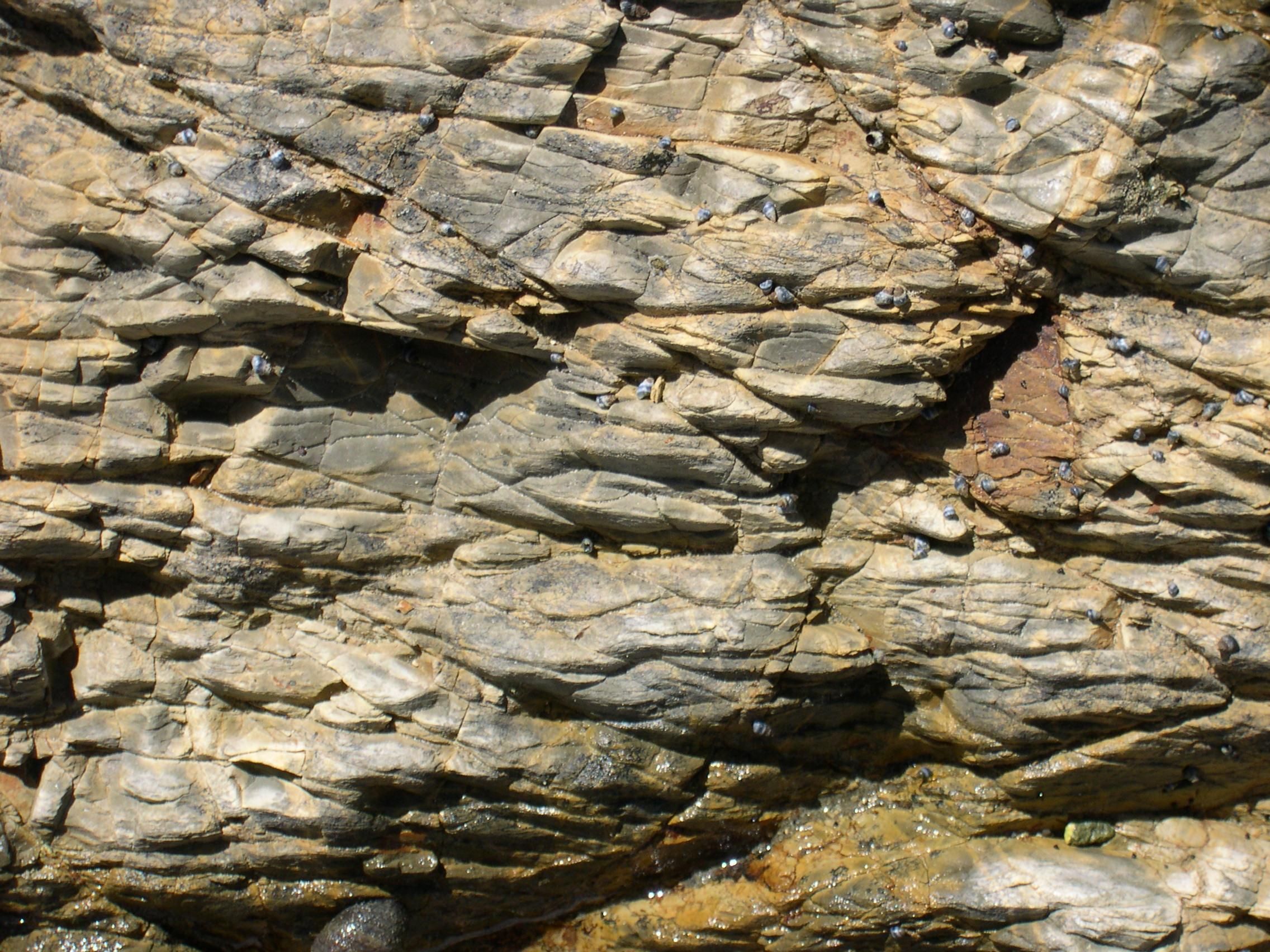 File:Rock texture close up.jpg - Wikimedia Commons