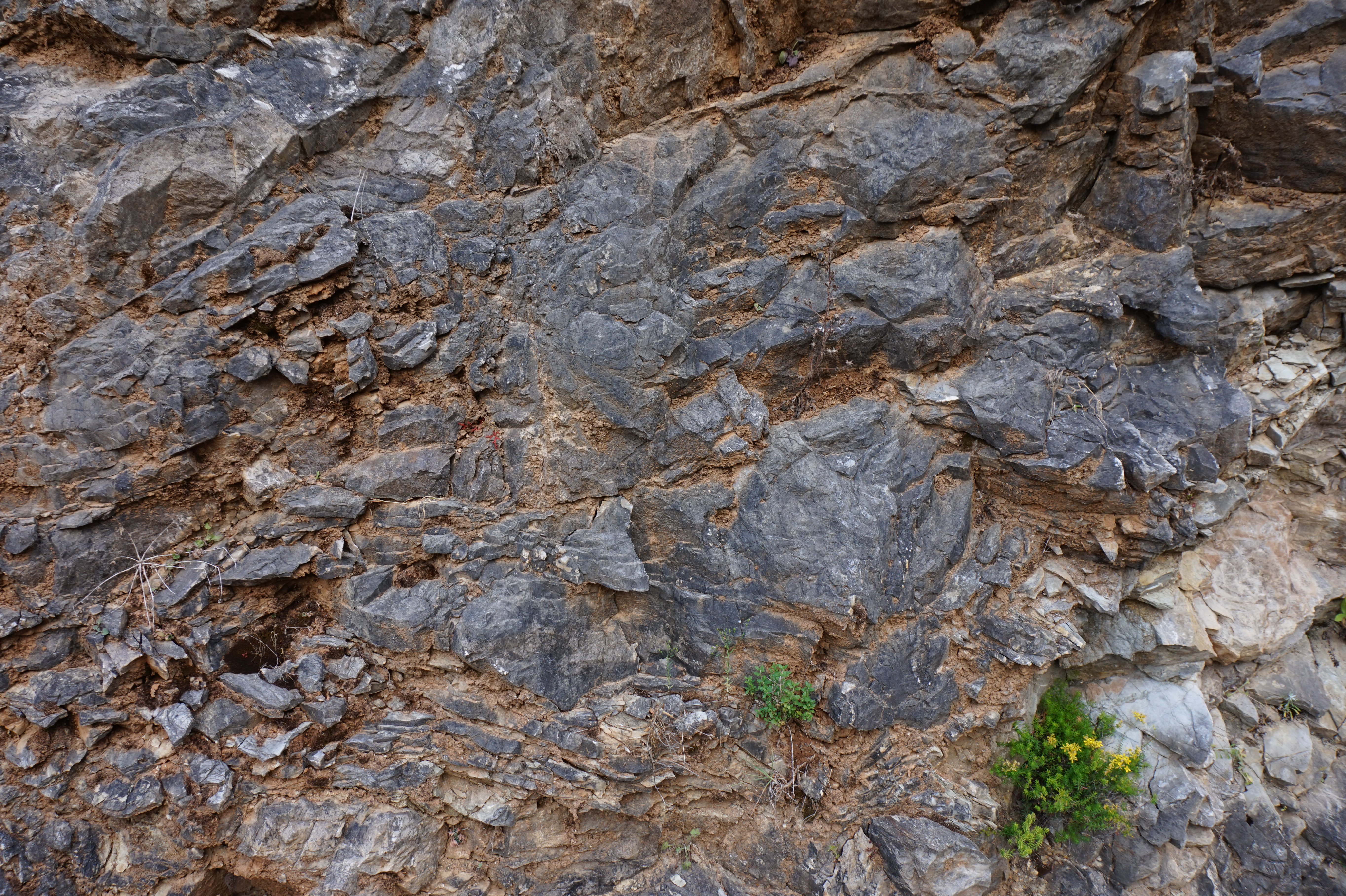 Mountain Rock-058 - Rocks - Texturify - Free textures