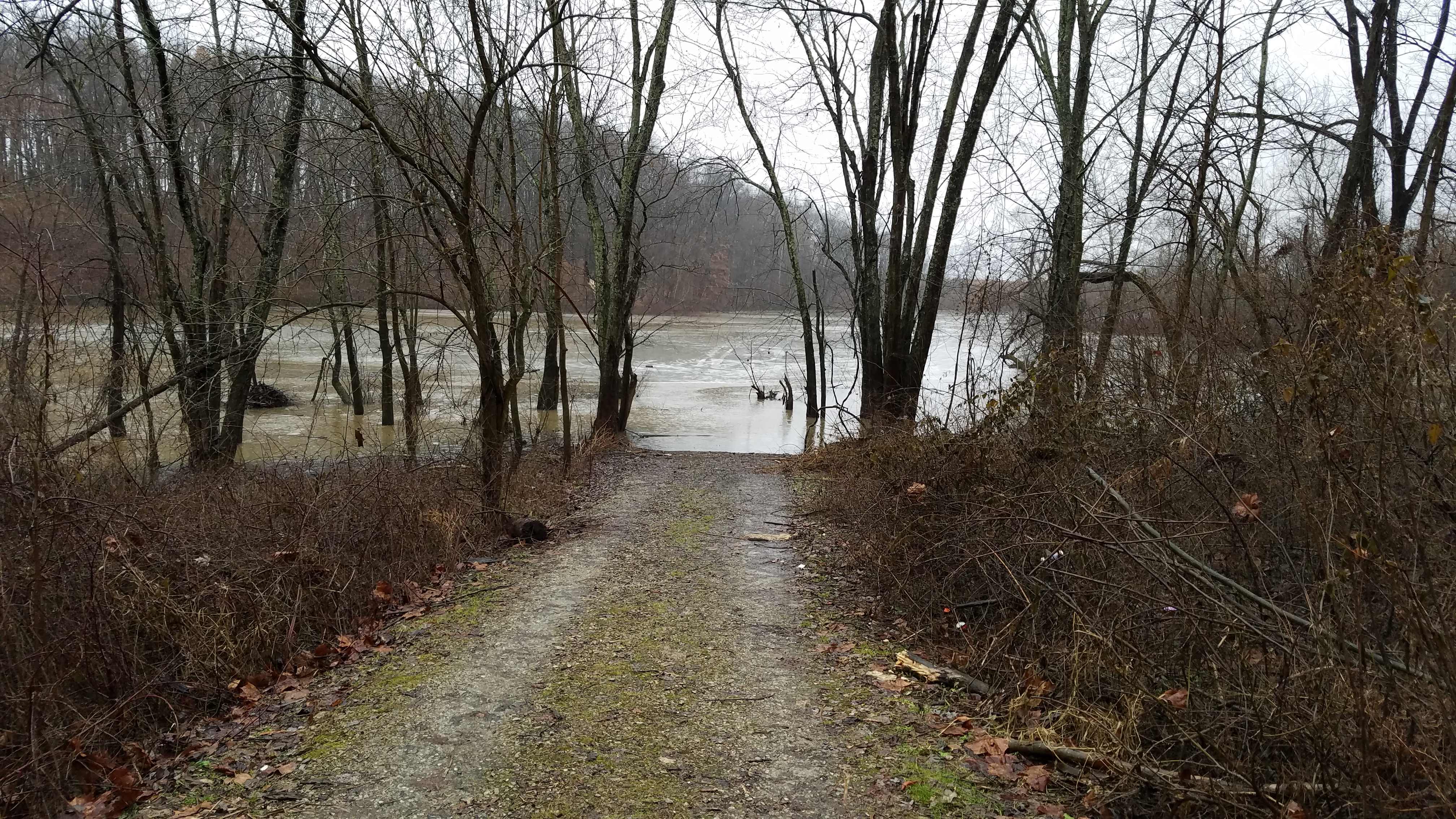 Rockmill Lake Wildlife Area, Fairfield County, Flood, Flooded, Grass, HQ Photo