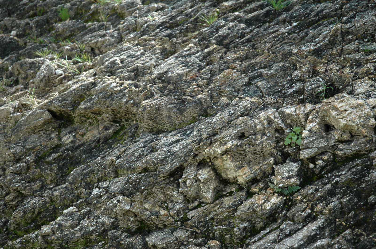 Rocks photo