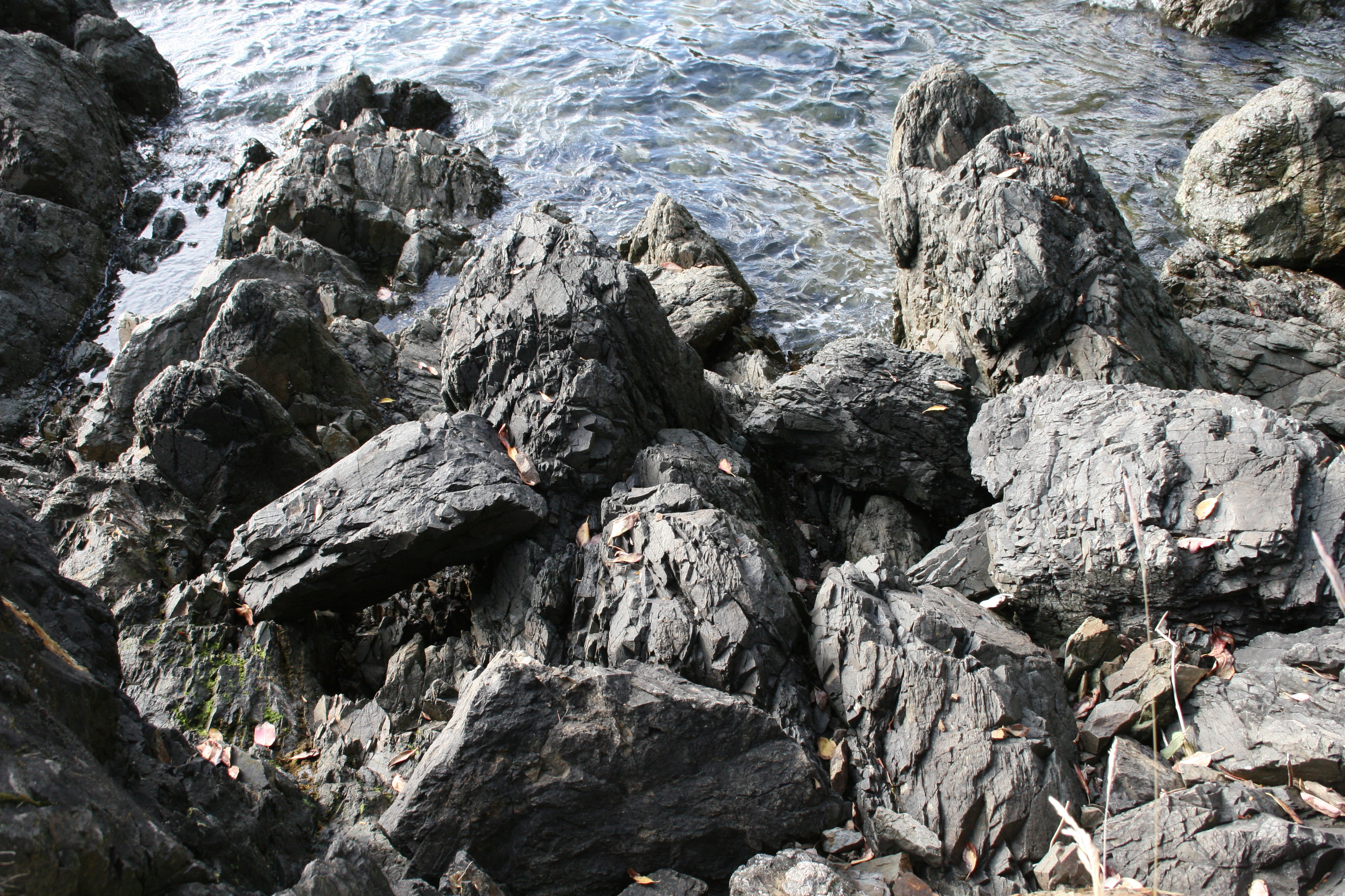File:Black Rocks - Lime Kiln Point State Park (757264955).jpg ...