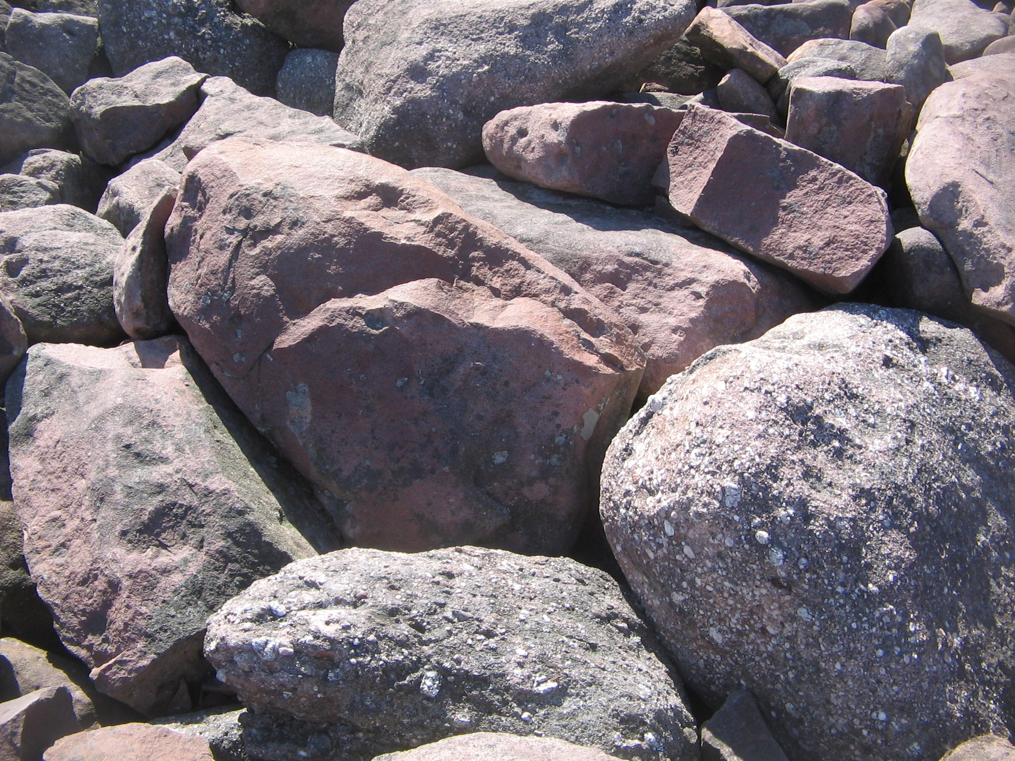 File:Boulder Field rocks Hickory Run State Park.jpg - Wikimedia Commons