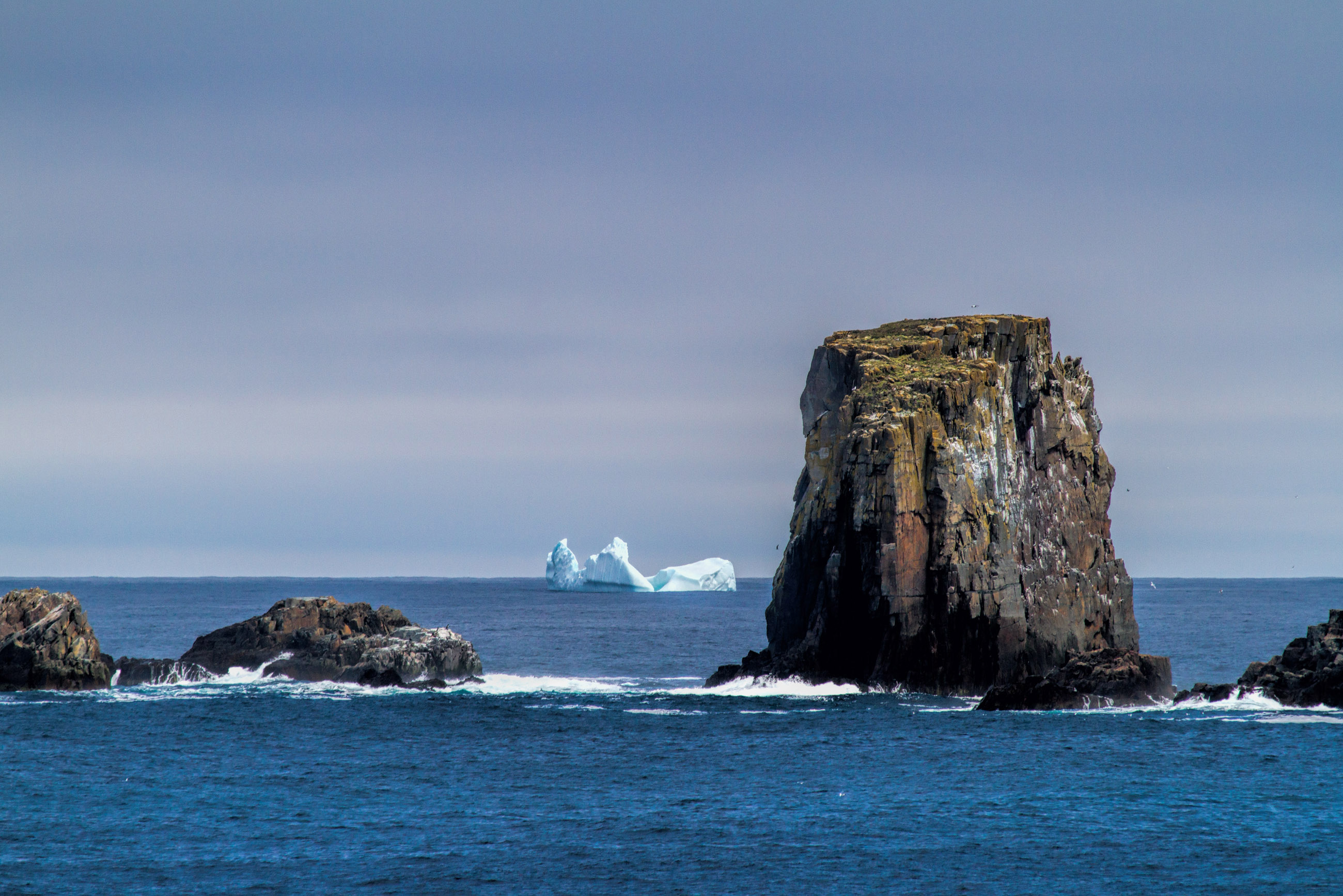 Rocks and icebergs photo
