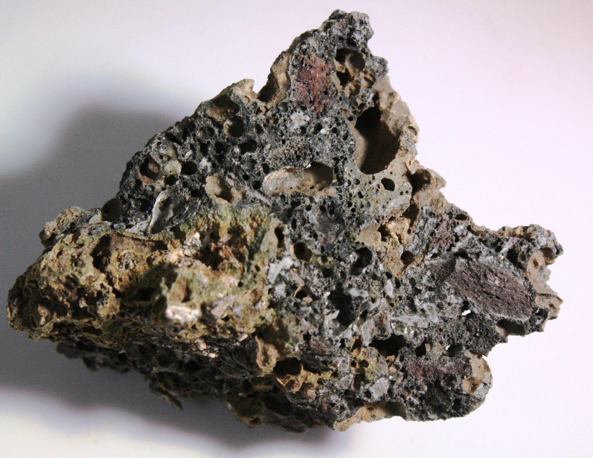 Vesicular Basalt Igneous Rock - 10 Pieces of Scoria | Off The Wall ...