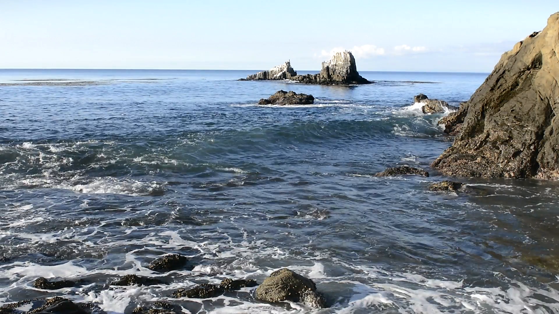 Seal Rocks off shore reef Stock Video Footage - VideoBlocks