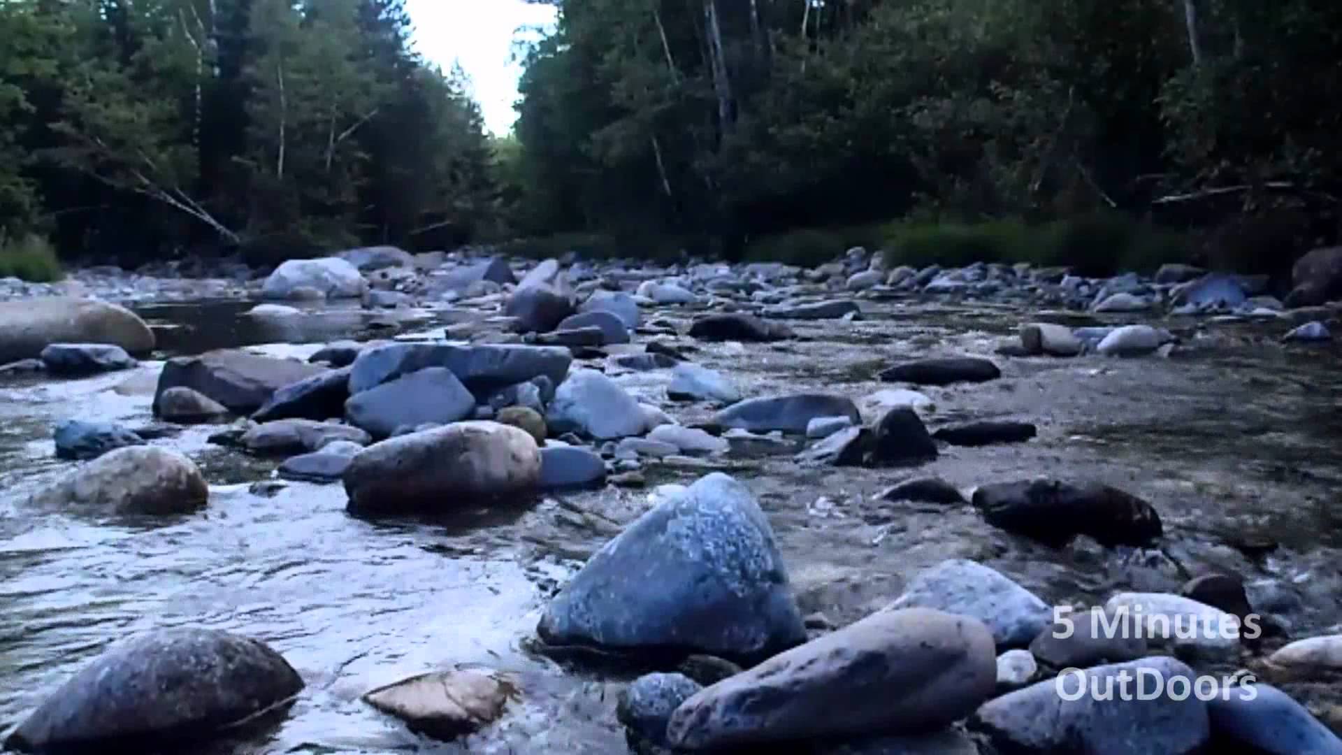 ASMR Gentle Flowing Rocky Brook in Stratton Maine Soothing Tinnitus ...