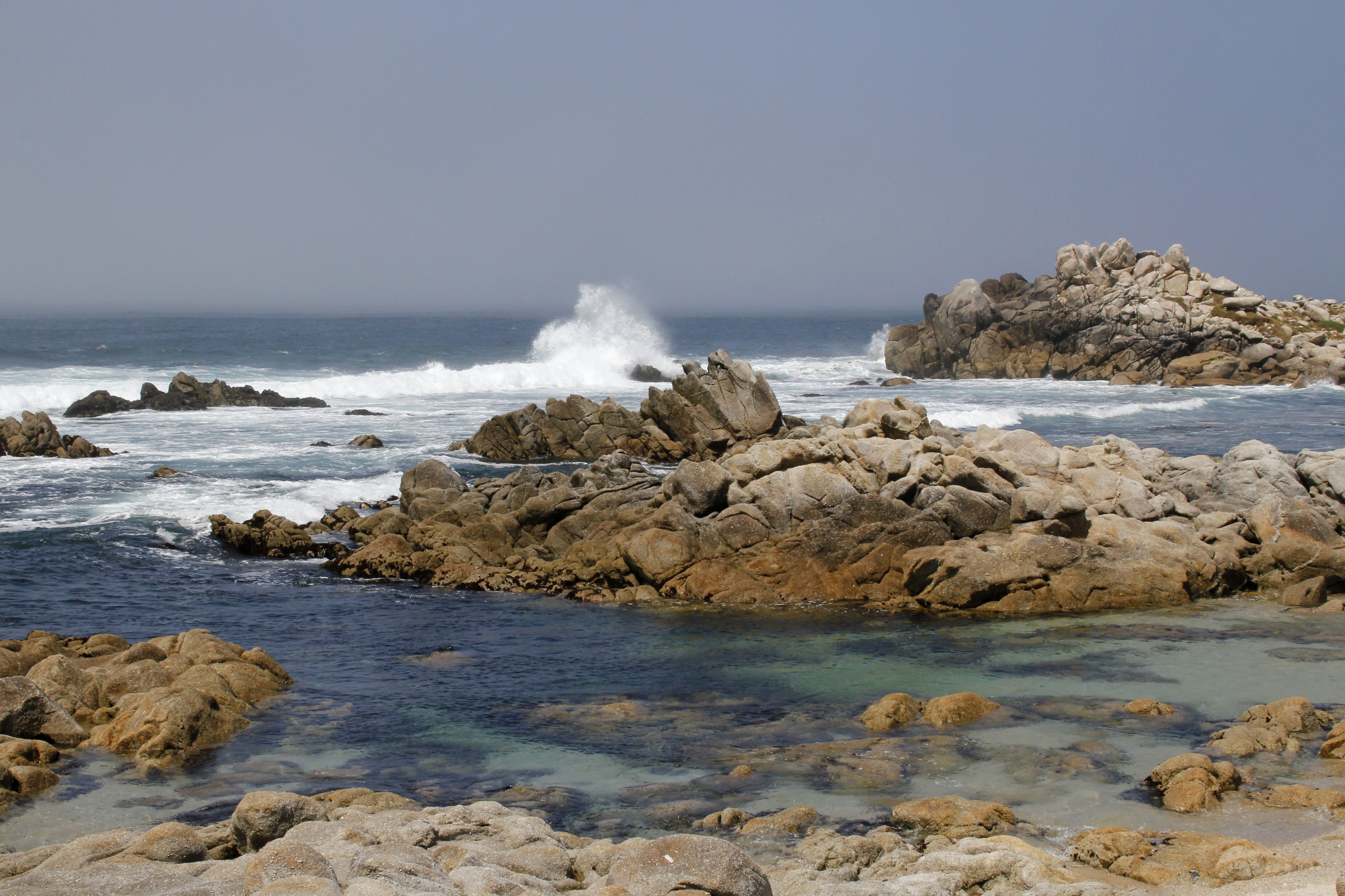 Rocky Coast across from Point Pinos | naturetime