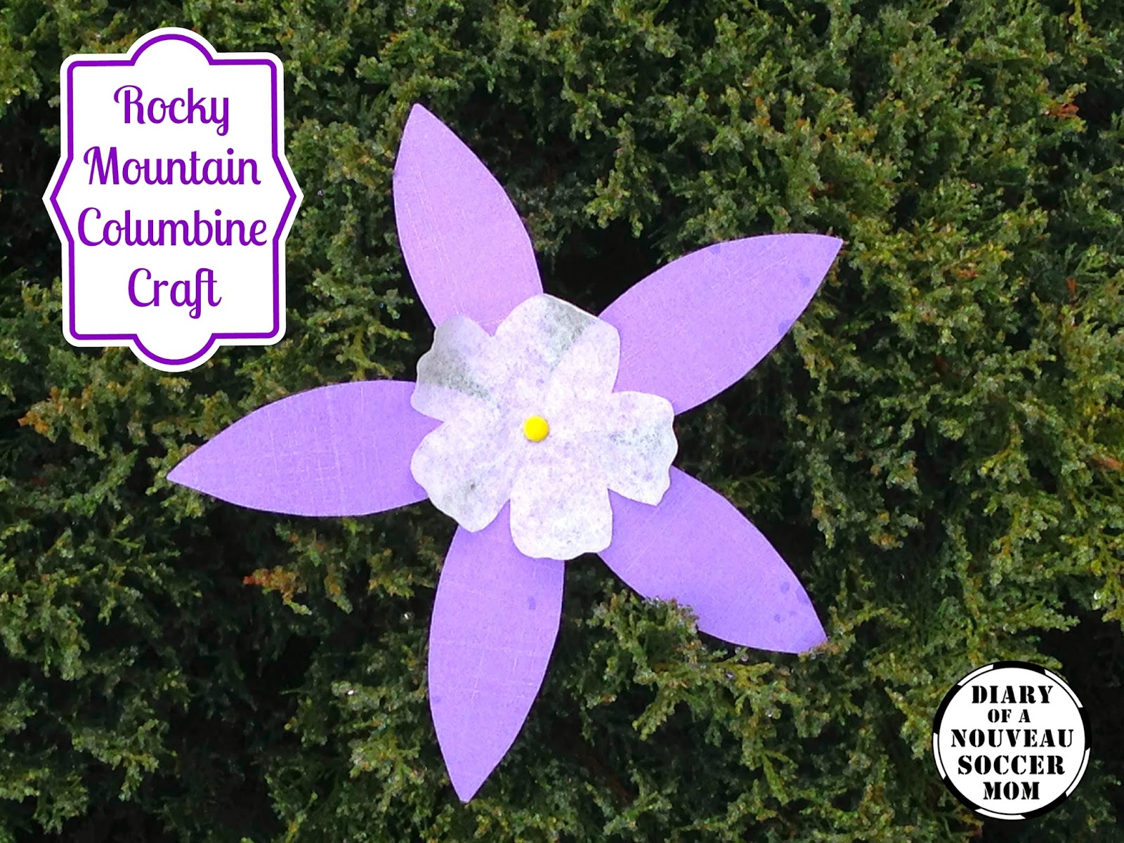 The Diary of a Nouveau Soccer Mom: Flower Craft for Kids: Rocky ...