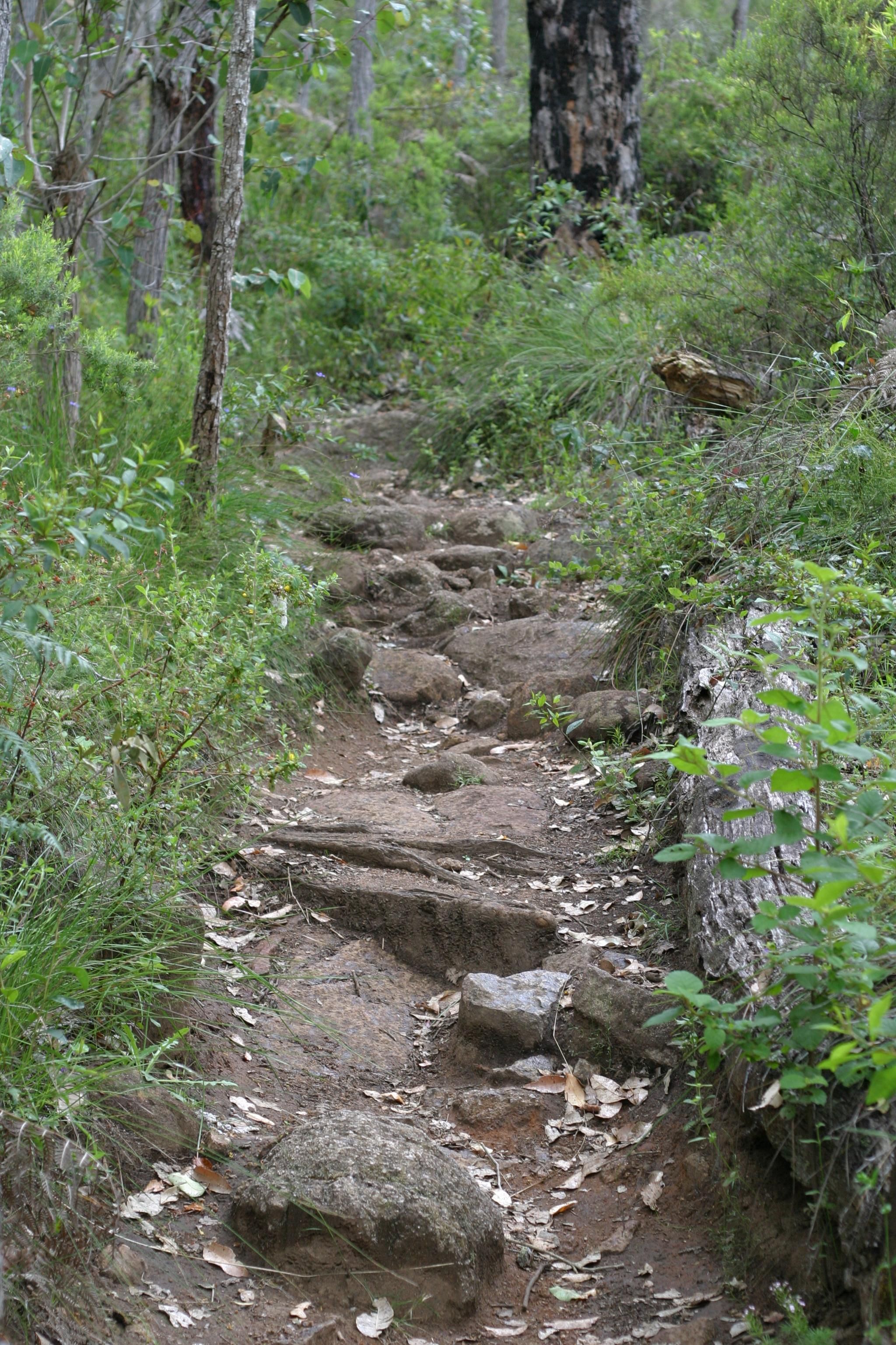 File:Rocky pathway.jpg - Wikimedia Commons