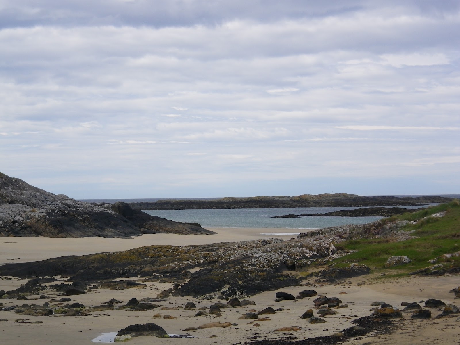 Rock Pooling: Rocky shore - Coll- The Hebrides