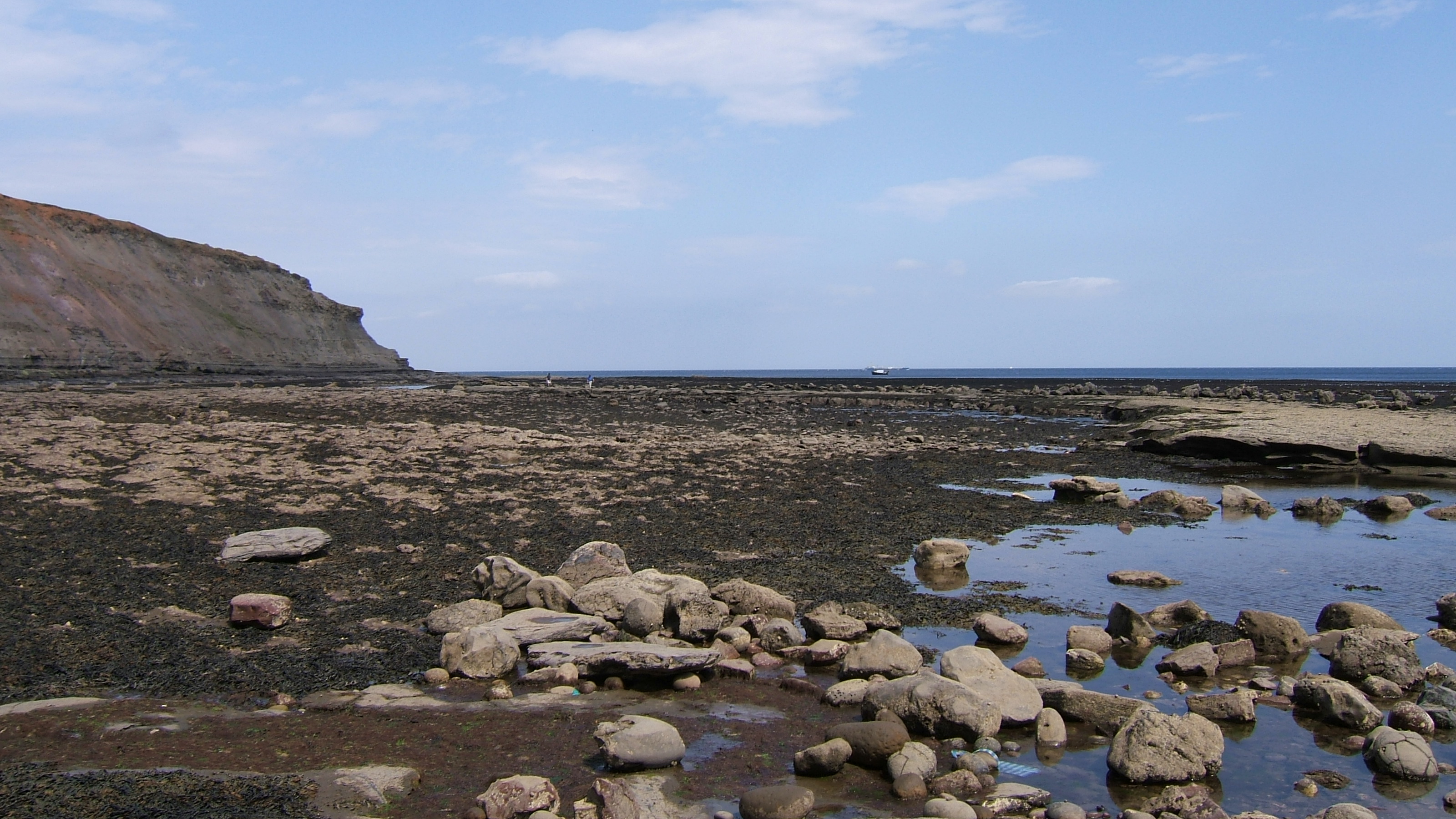 Rocky shore | The official blog for the North York Moors National Park