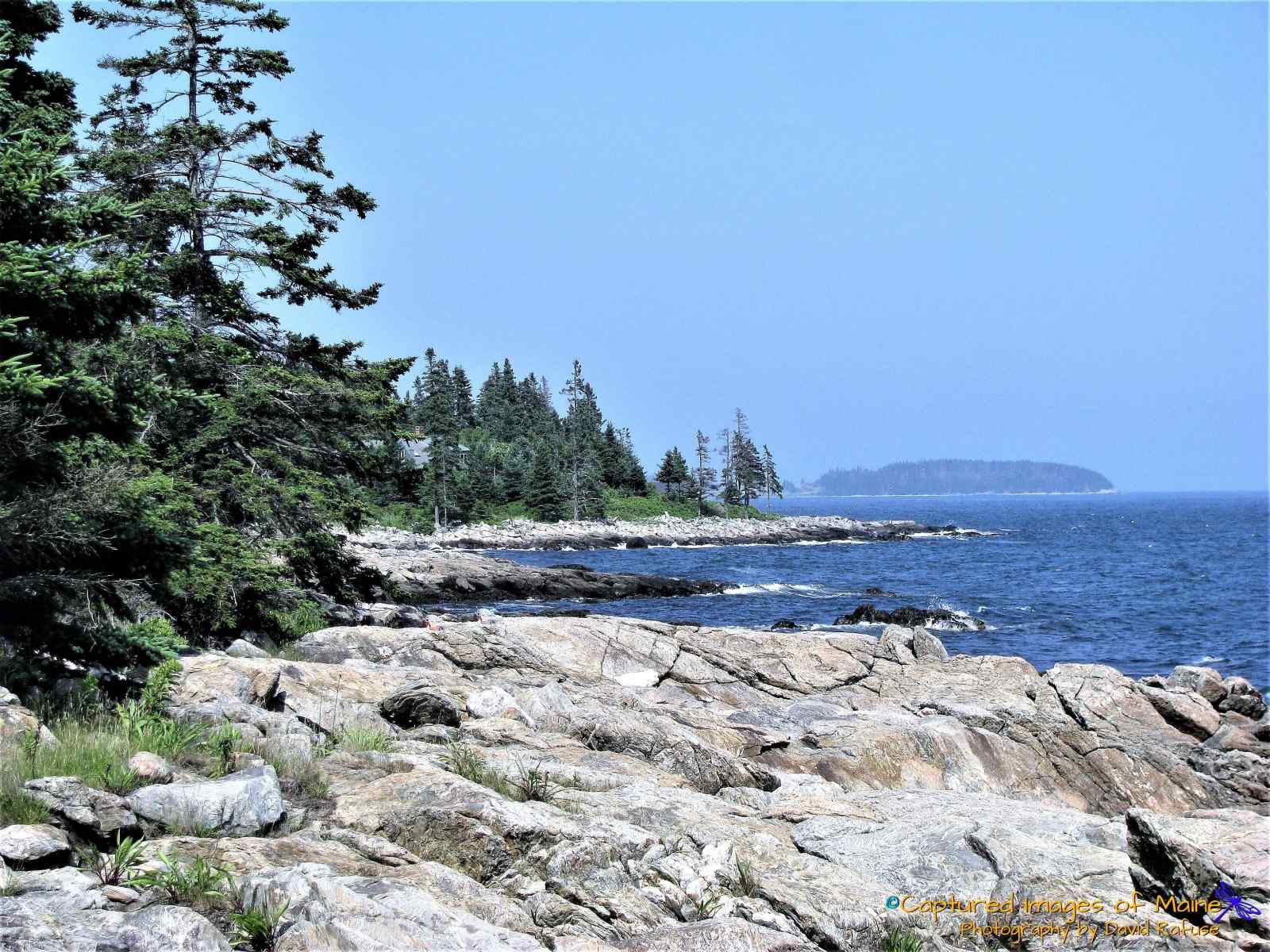 Fave Coastal - Captured Images of Maine