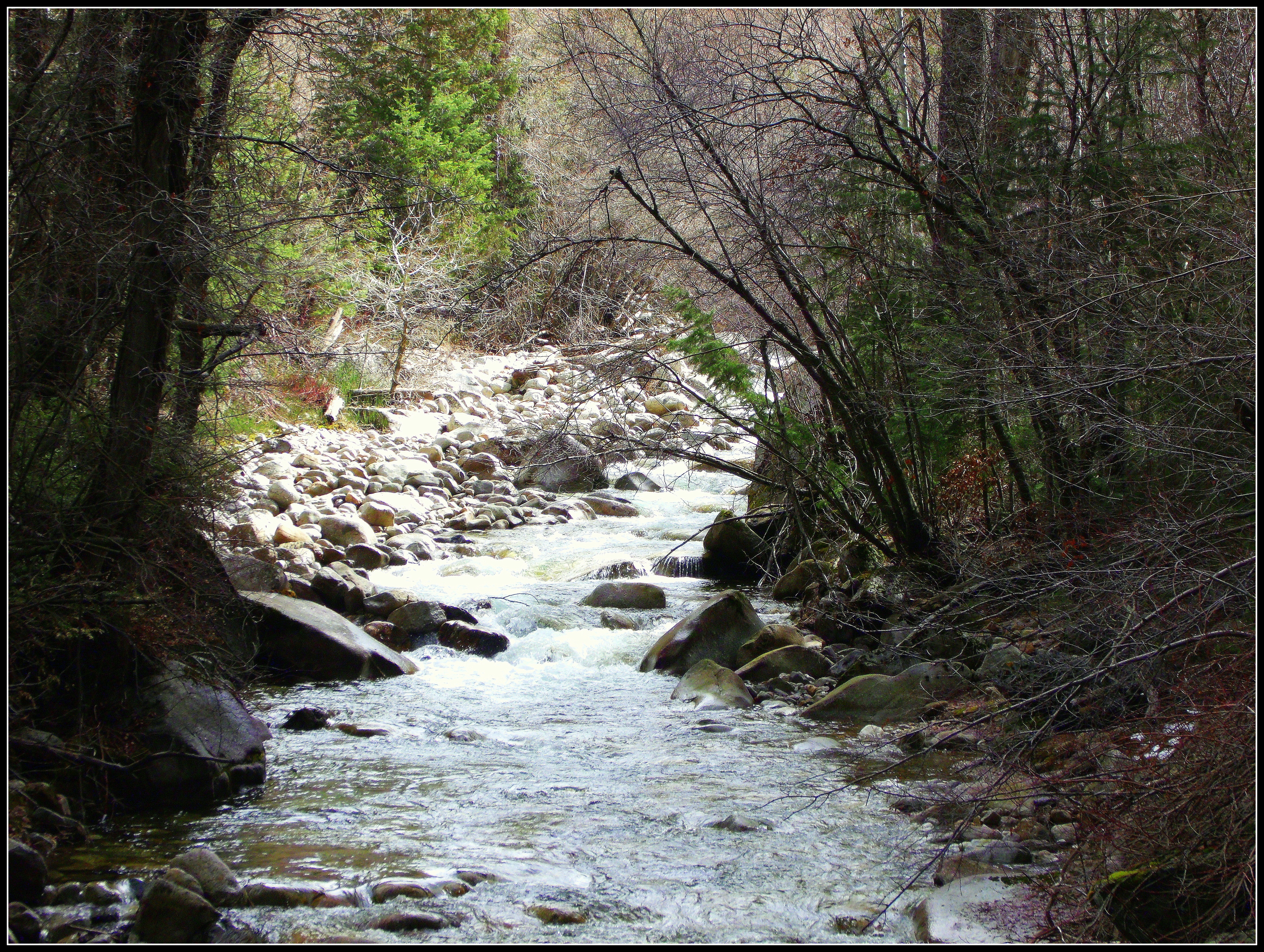 rocky stream | Scott's Place...Images and Words