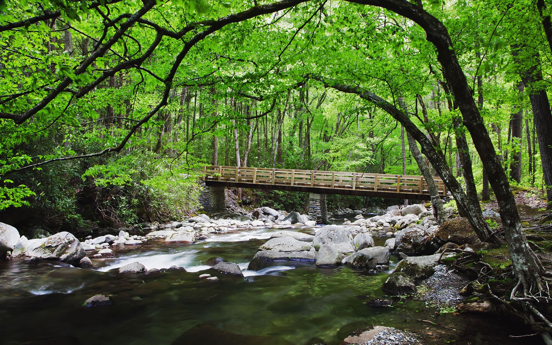 Rivers: Bridge Creek Creeks Rocky Stream Bridges Nature Rivers Green ...