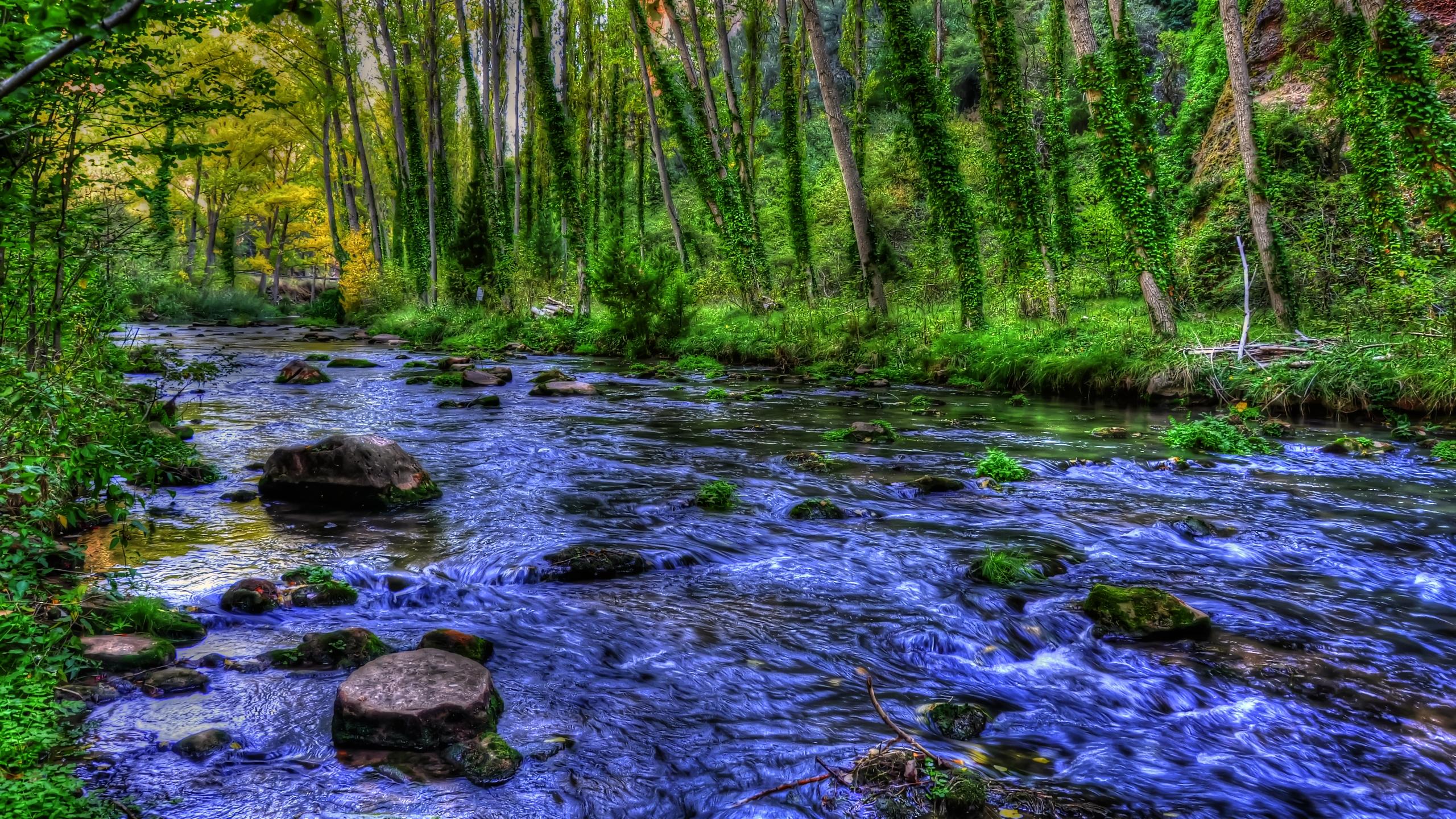 Rocky Stream in Forest Full HD Wallpaper and Background Image ...