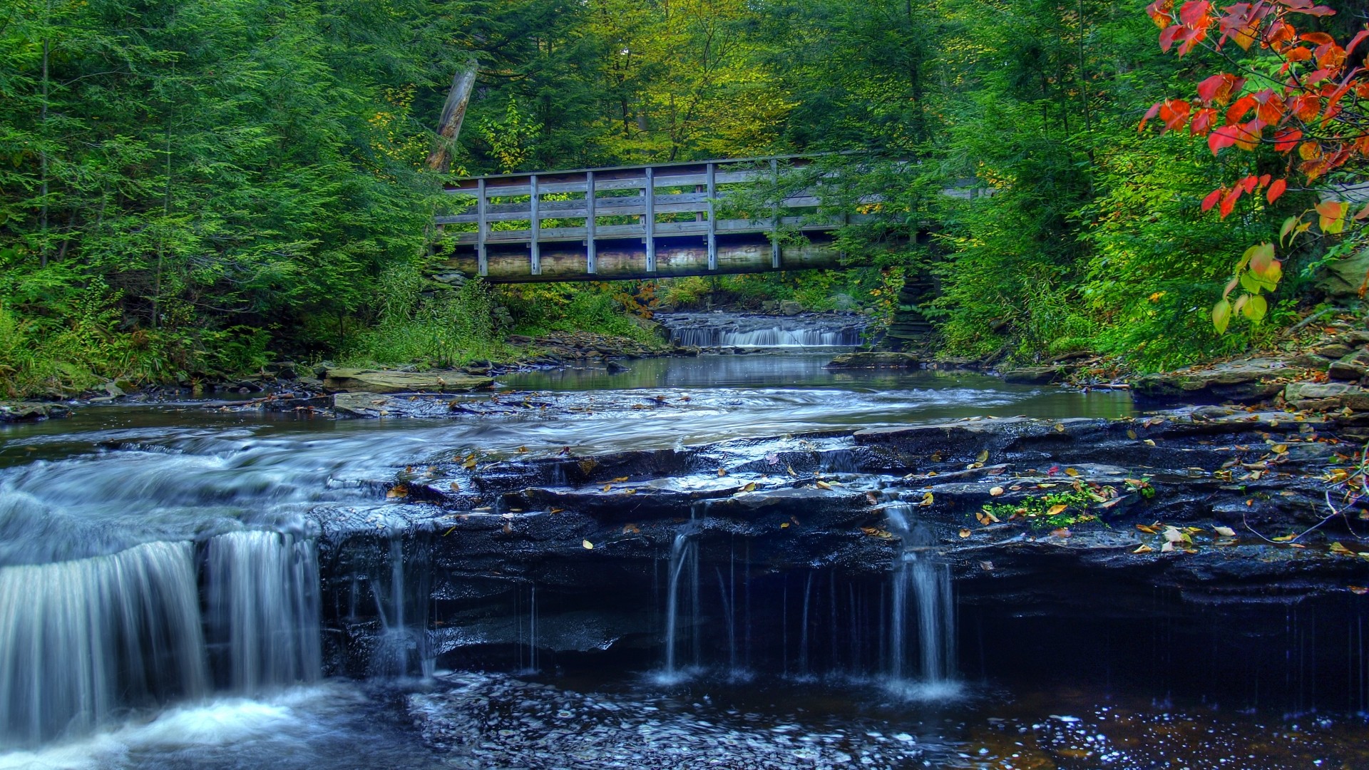 Bridges: Wooden Bridge Rocky Forest Stream Steps Rocks High Quality ...