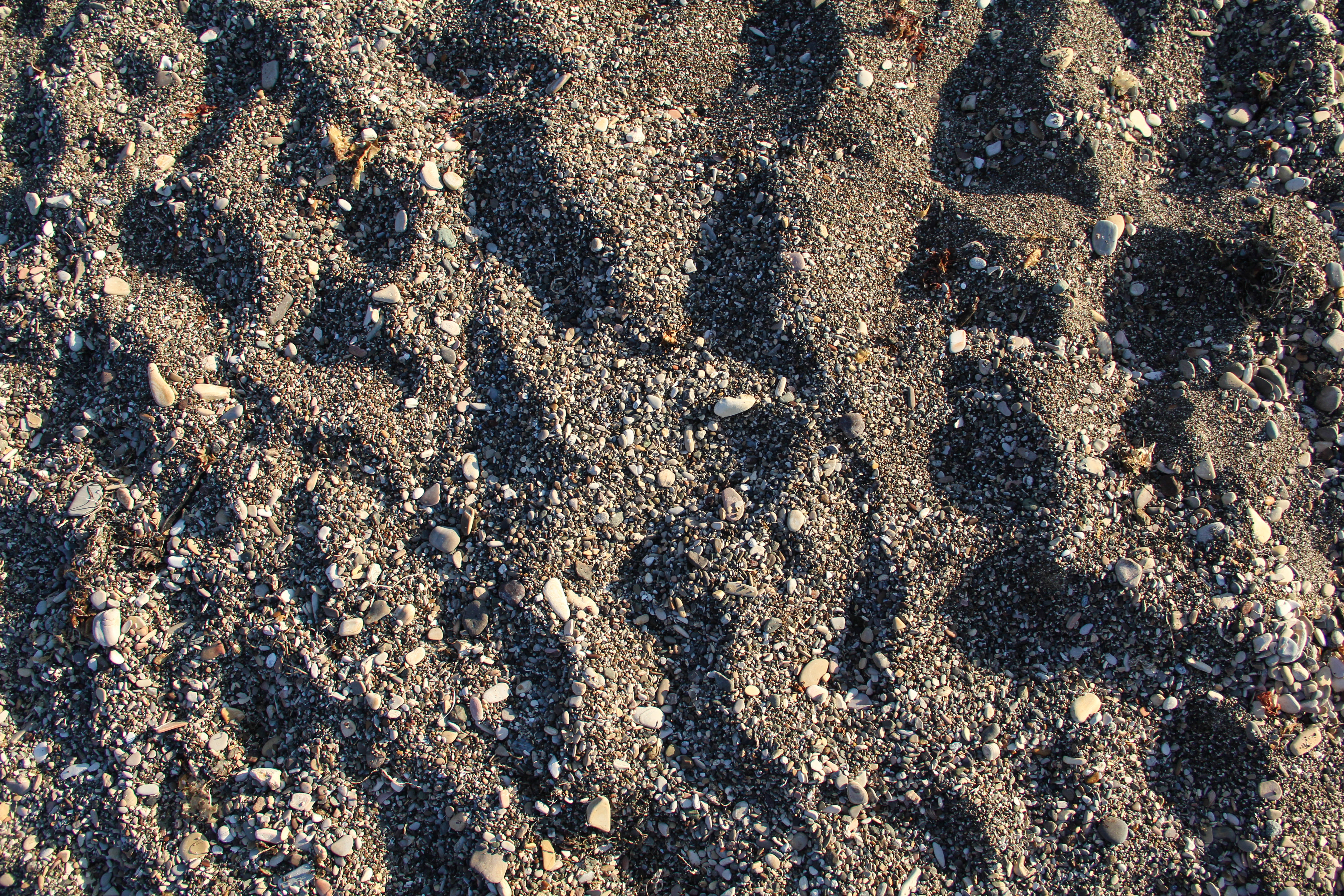 ground texture rocky sand beach wallpaper stock photo - TextureX ...