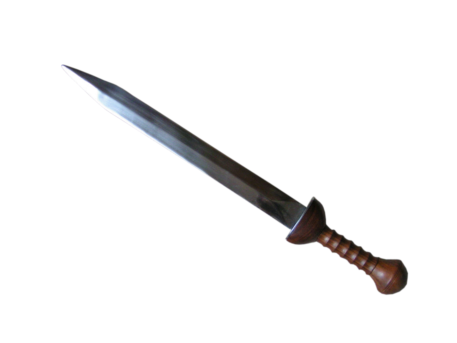 Image - Roman-gladius-sword.gif | Duck's Shit Wiki | FANDOM powered ...