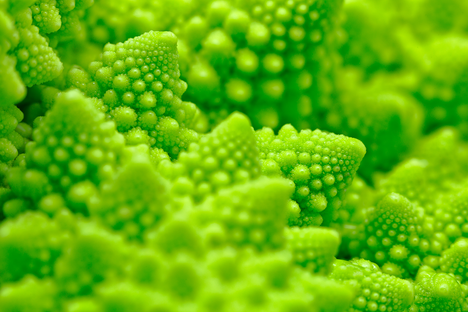 Romanesco Broccoli - HDR Macro, Abstract, Nutrients, Pure, Psychedelic, HQ Photo