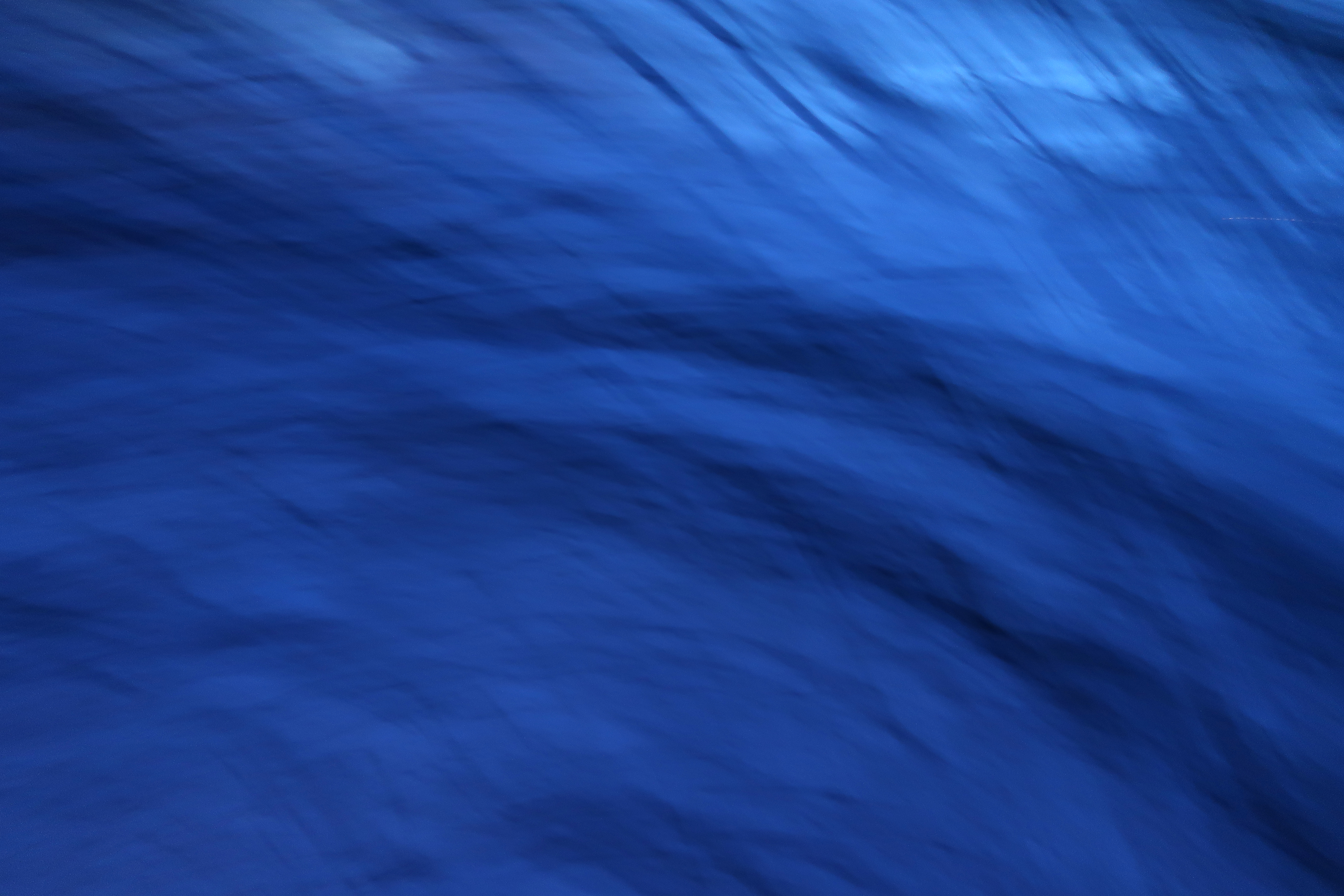 Ronde sous l'arbre, Abstrait, Bleu, Ocean, Sea, HQ Photo