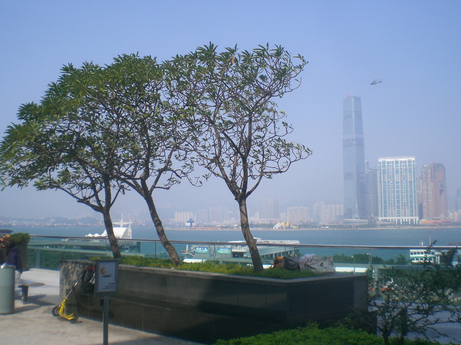 File:HK IFC Roof Podium Garden trees view West Kln ICC Helicopter ...