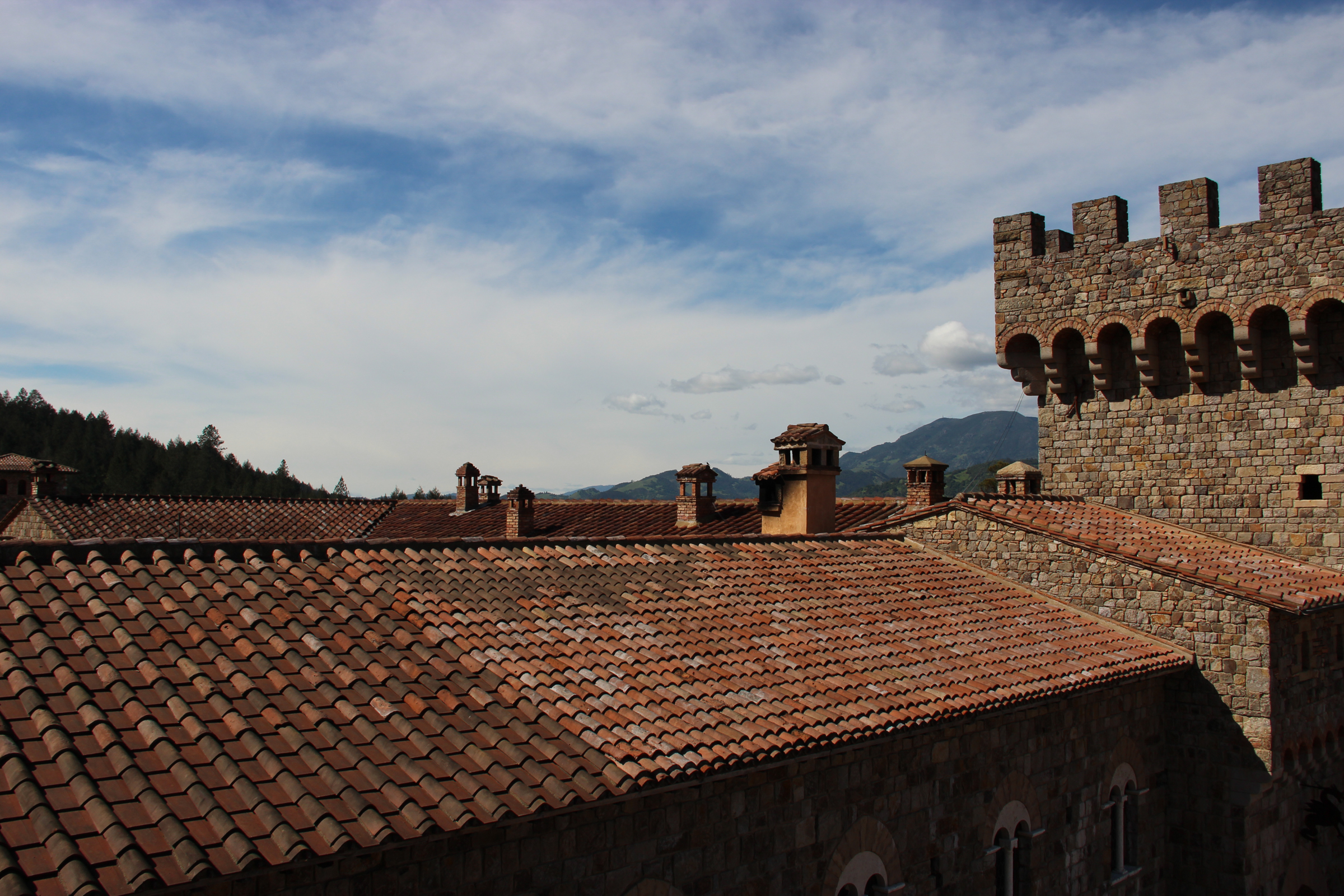 Free Stock Photo of Rooftops of a Castle