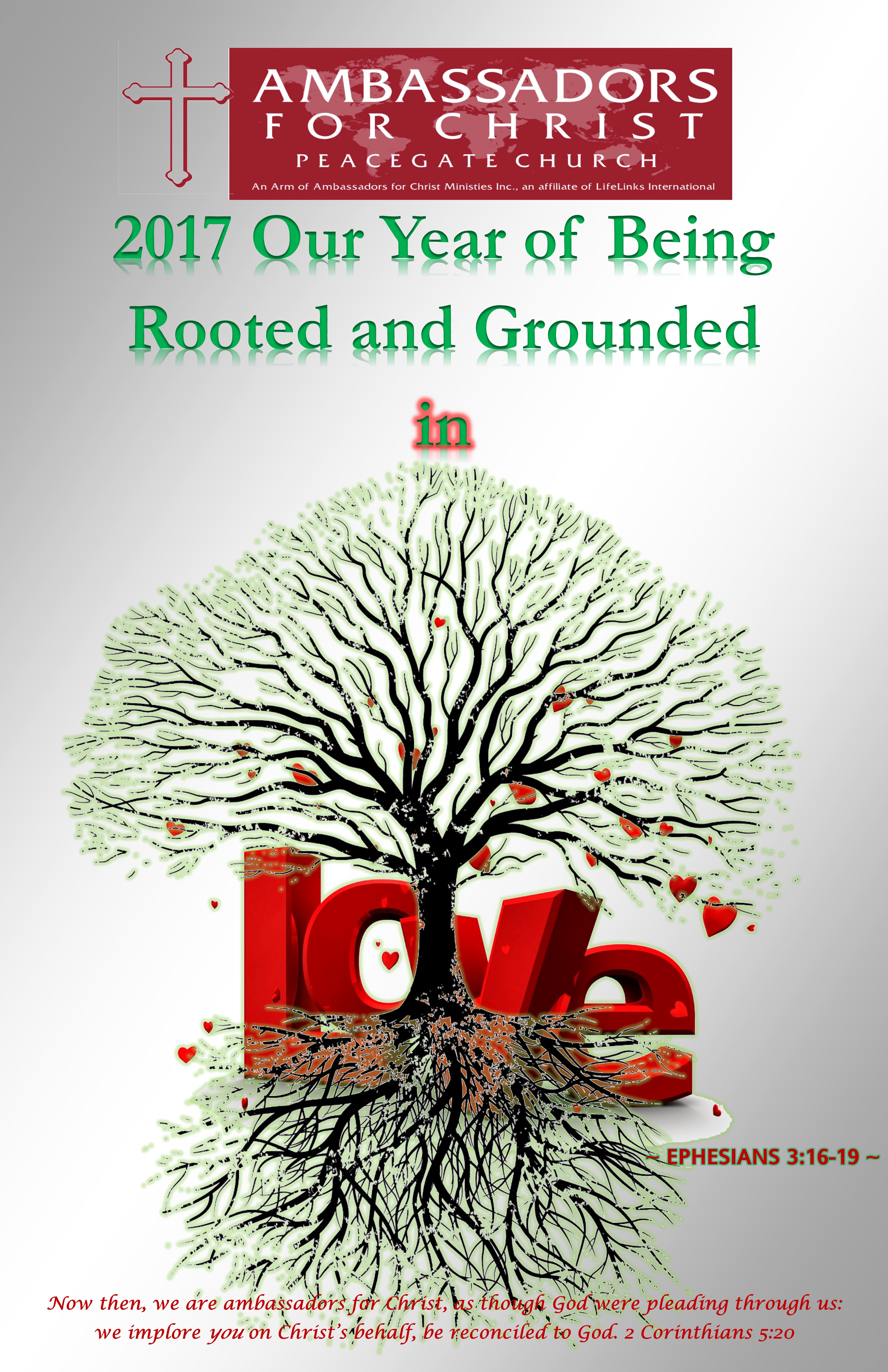 2017 -OUR YEAR OF BEING ROOTED AND GROUNDED IN LOVE