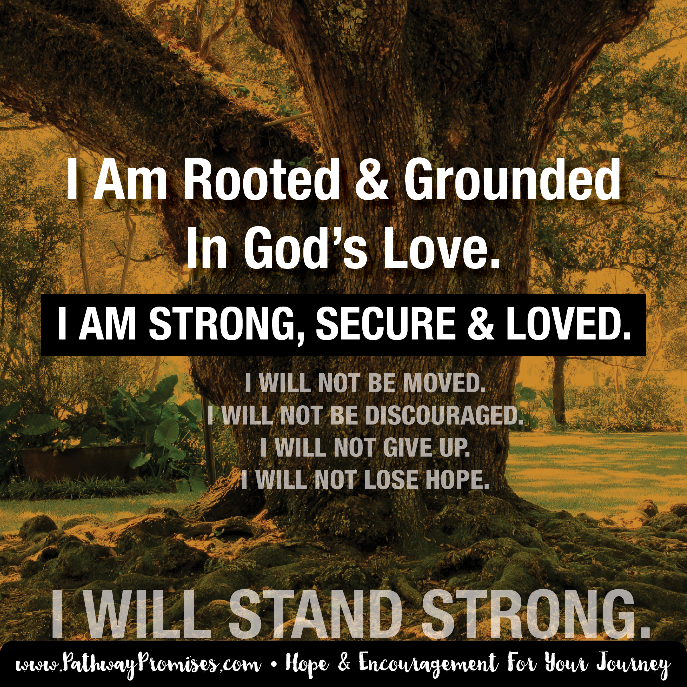 I Will Stand Strong. I Am Rooted & Grounded In God's Love. - Pathway ...