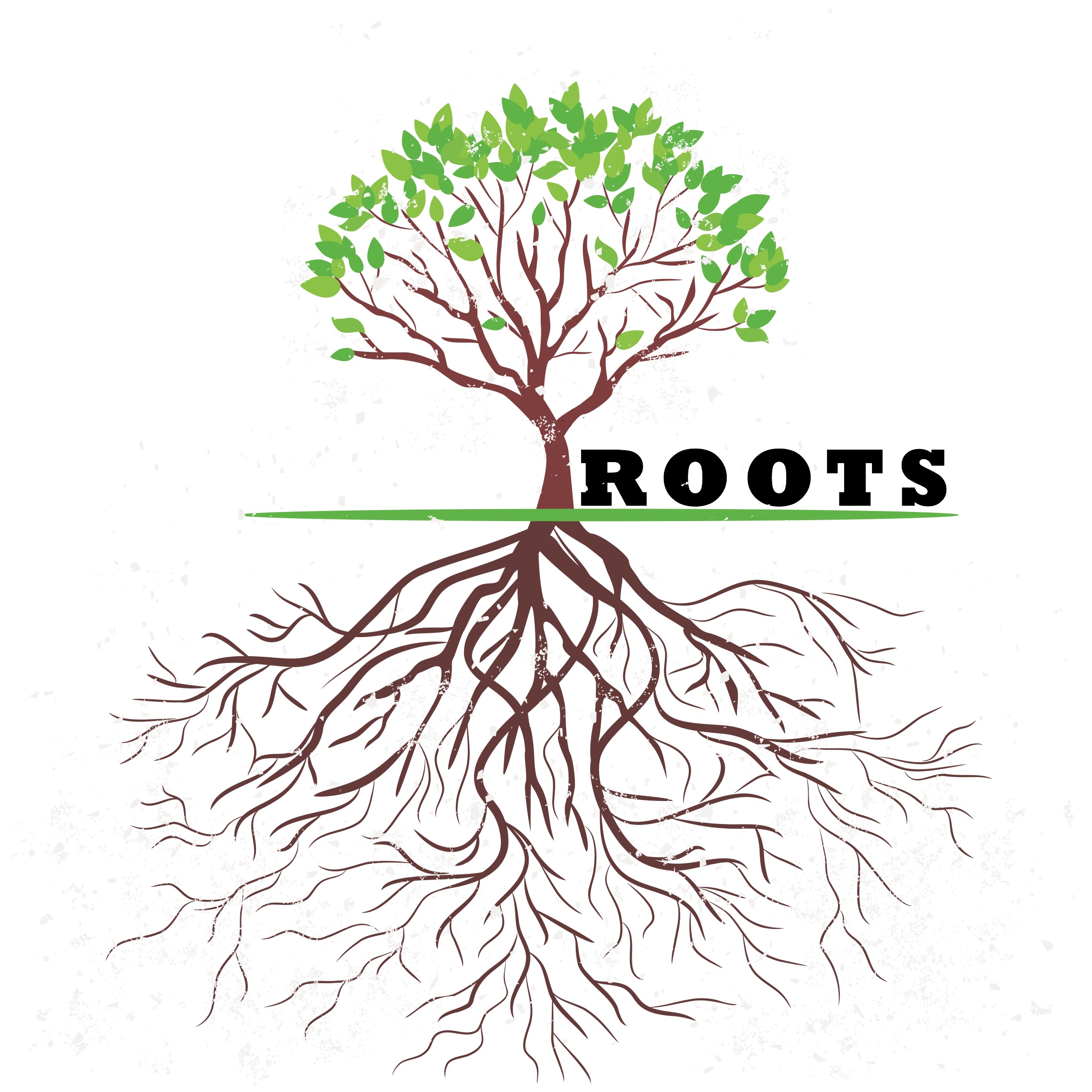 roots4.jpg