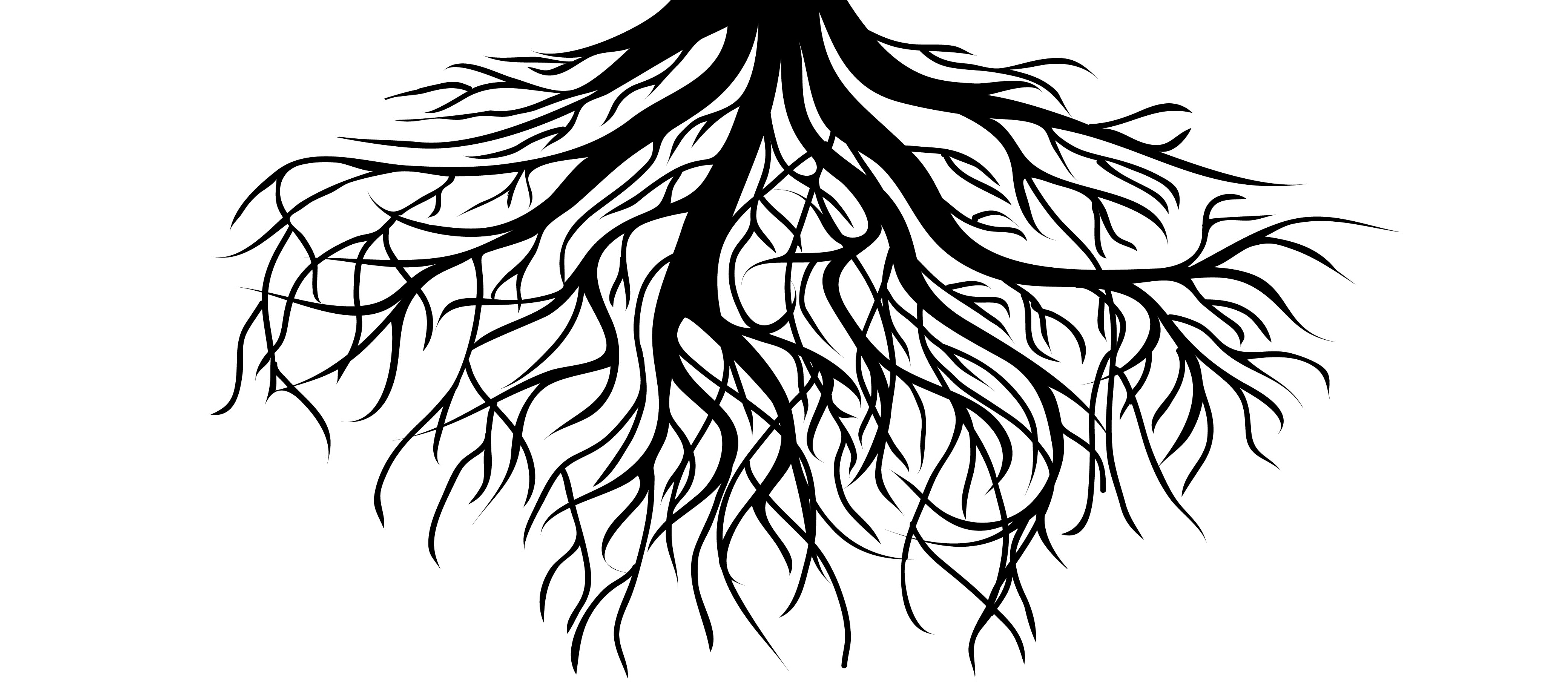 Roots | Weaverland