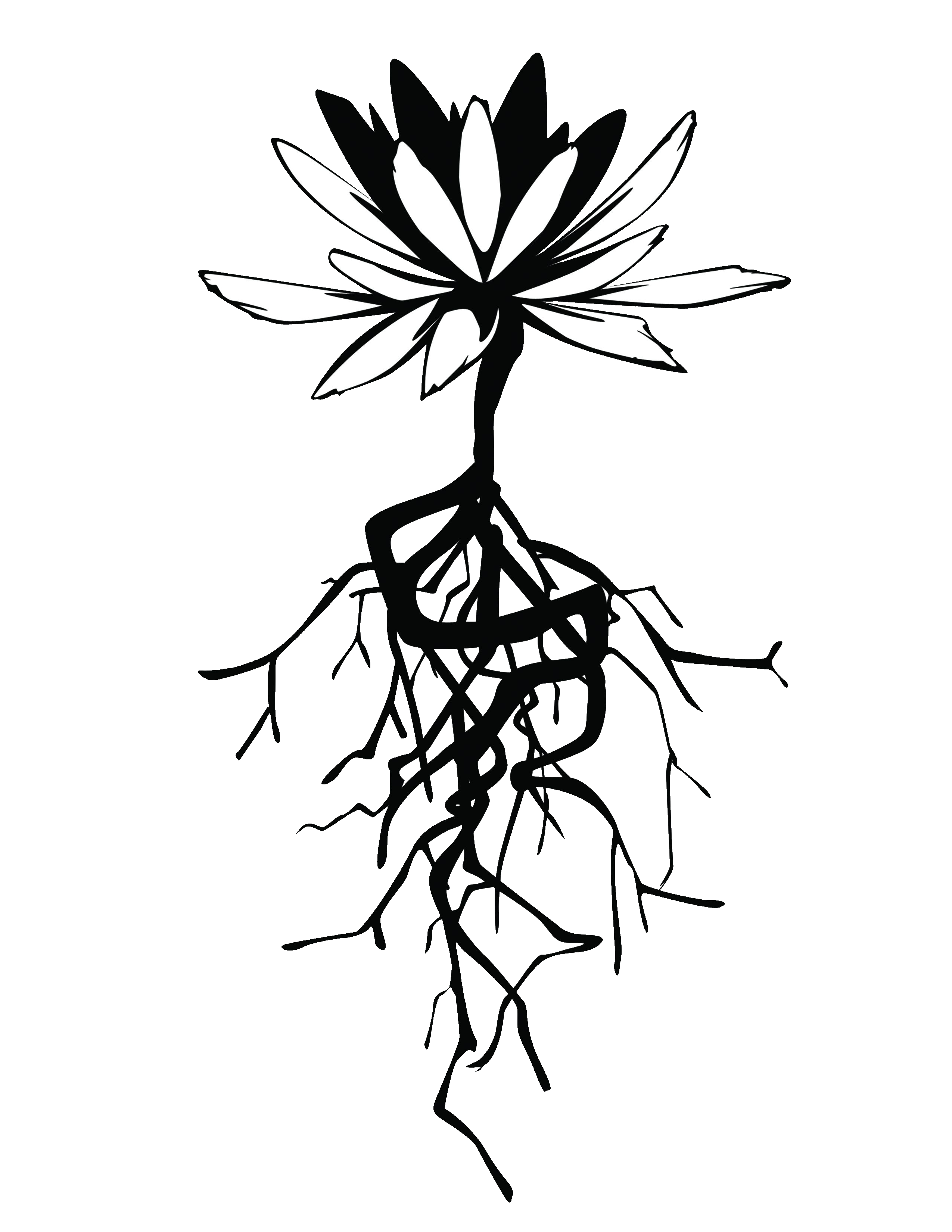 roots-flower-logo – Roots Family Therapy