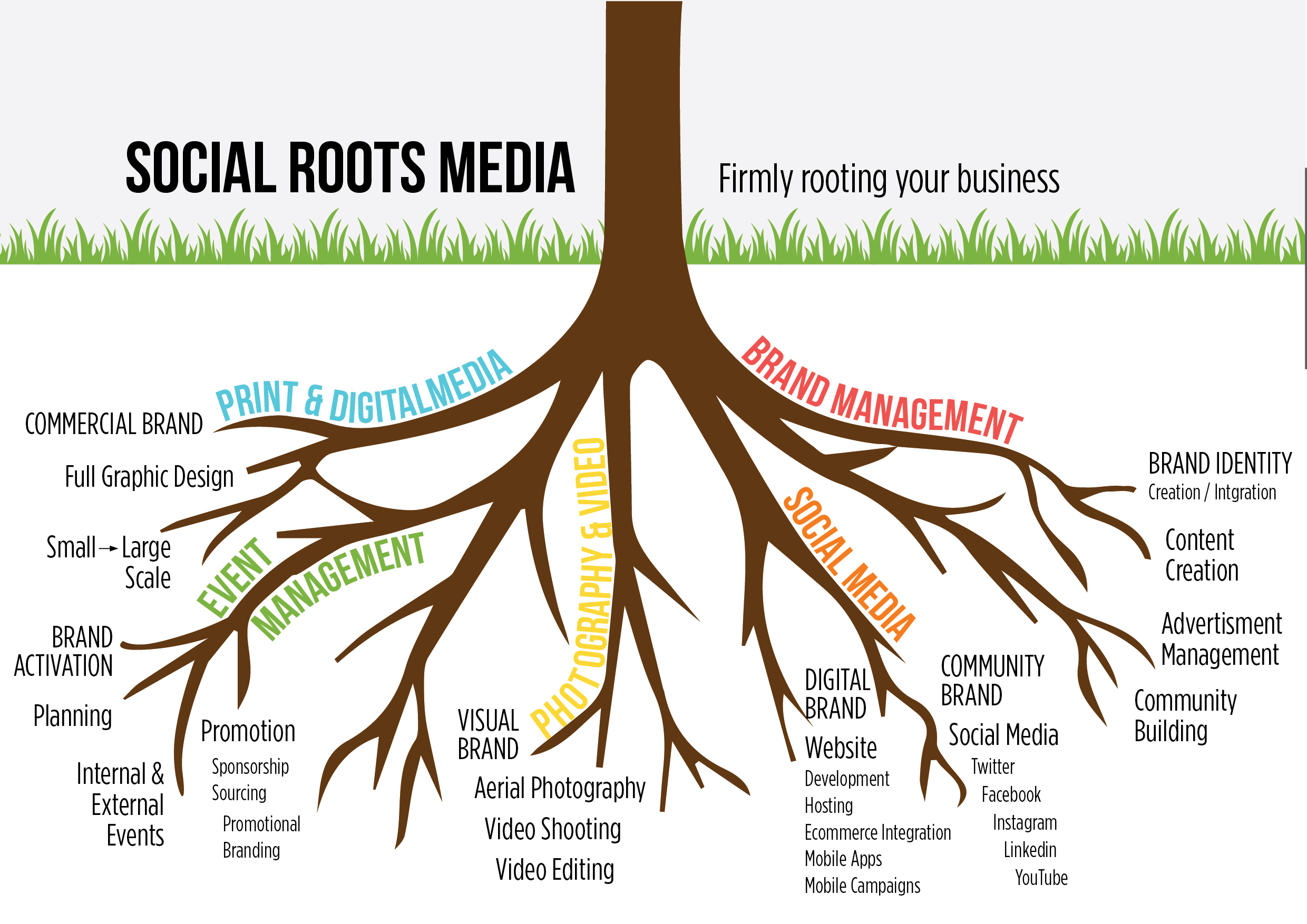 Home - Social Roots Media