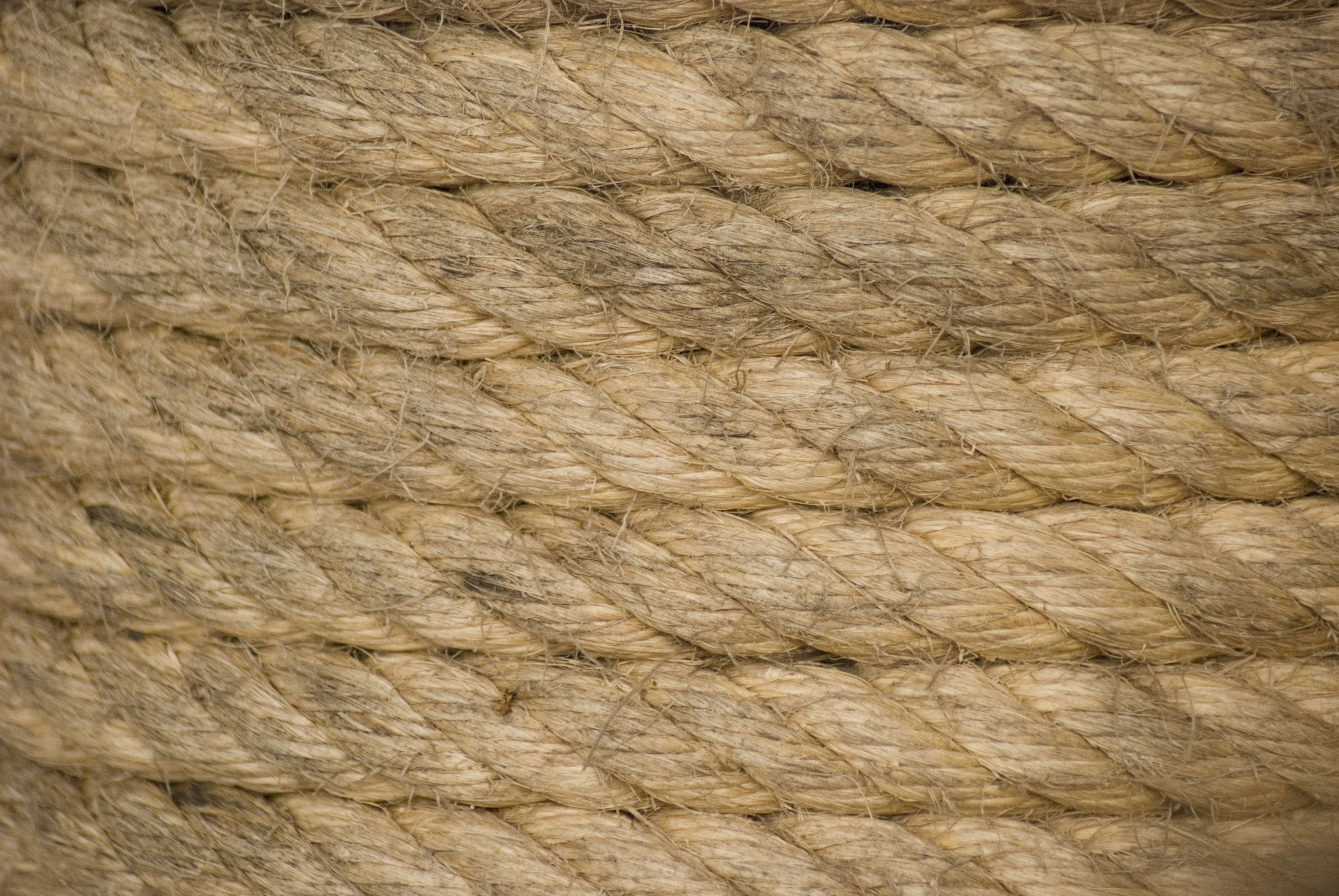Rope texture photo