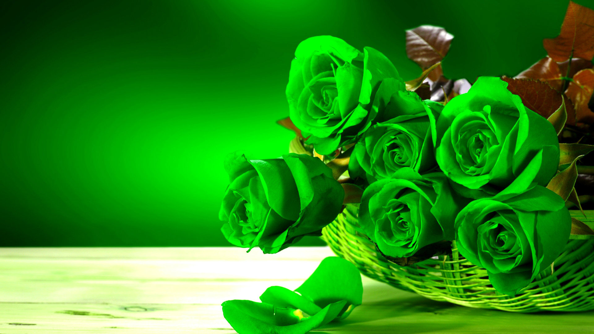 17 Rose Wallpapers: Beautiful Desktop HD Wallpapers - Mashtrelo
