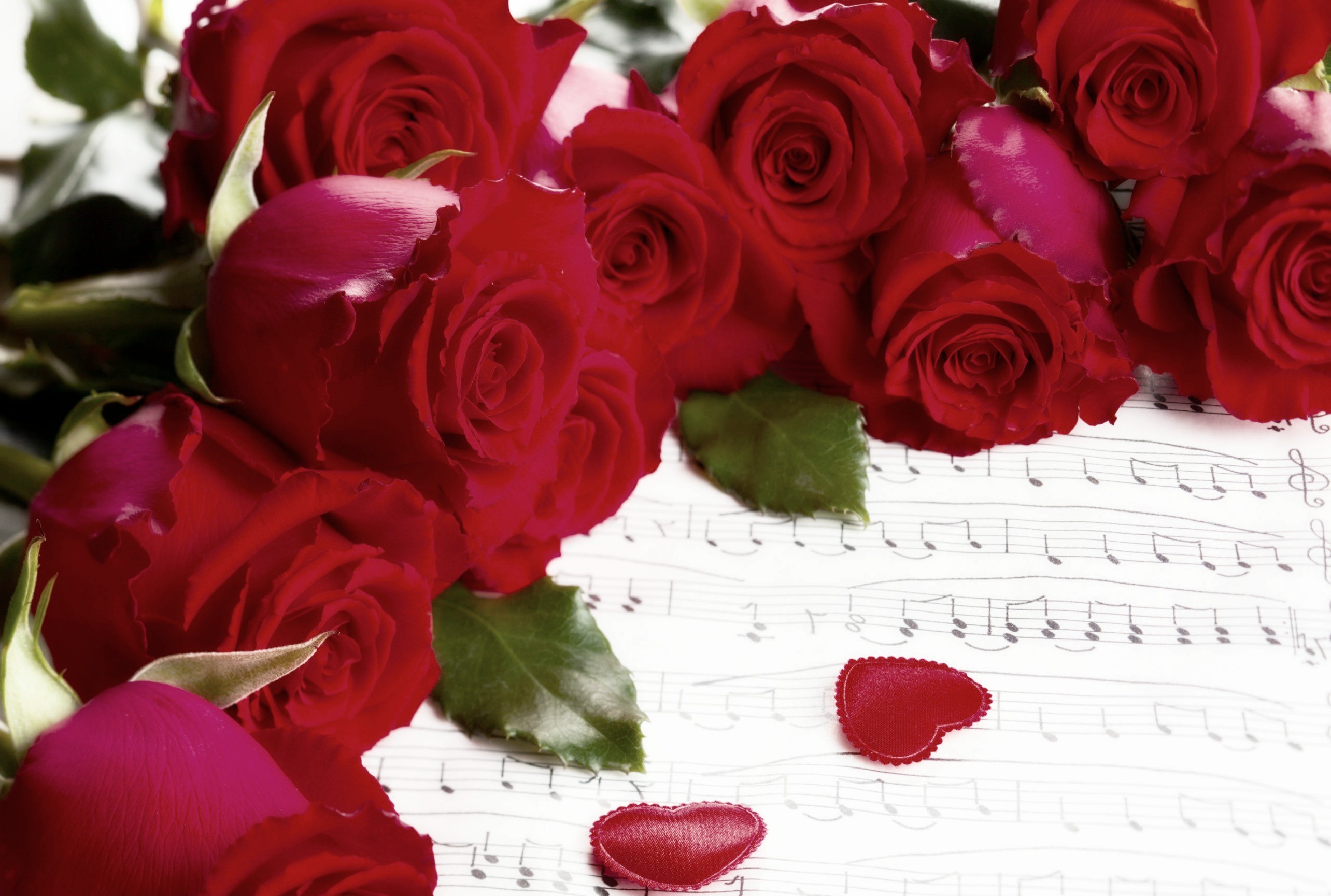 Flowers: Notes Holiday Red Hearts Roses Music Valentine Heart Tulip ...